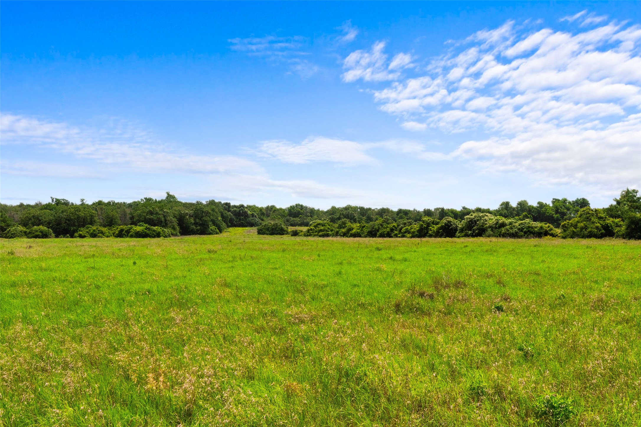 2874 Old Boone Prairie Road Franklin TX 77856