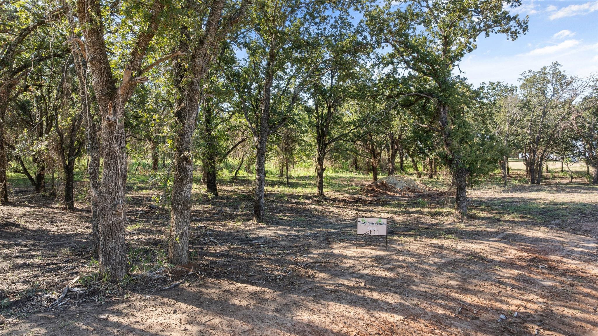 Lot #11 Trinity Ridge Drive Stephenville TX 76401