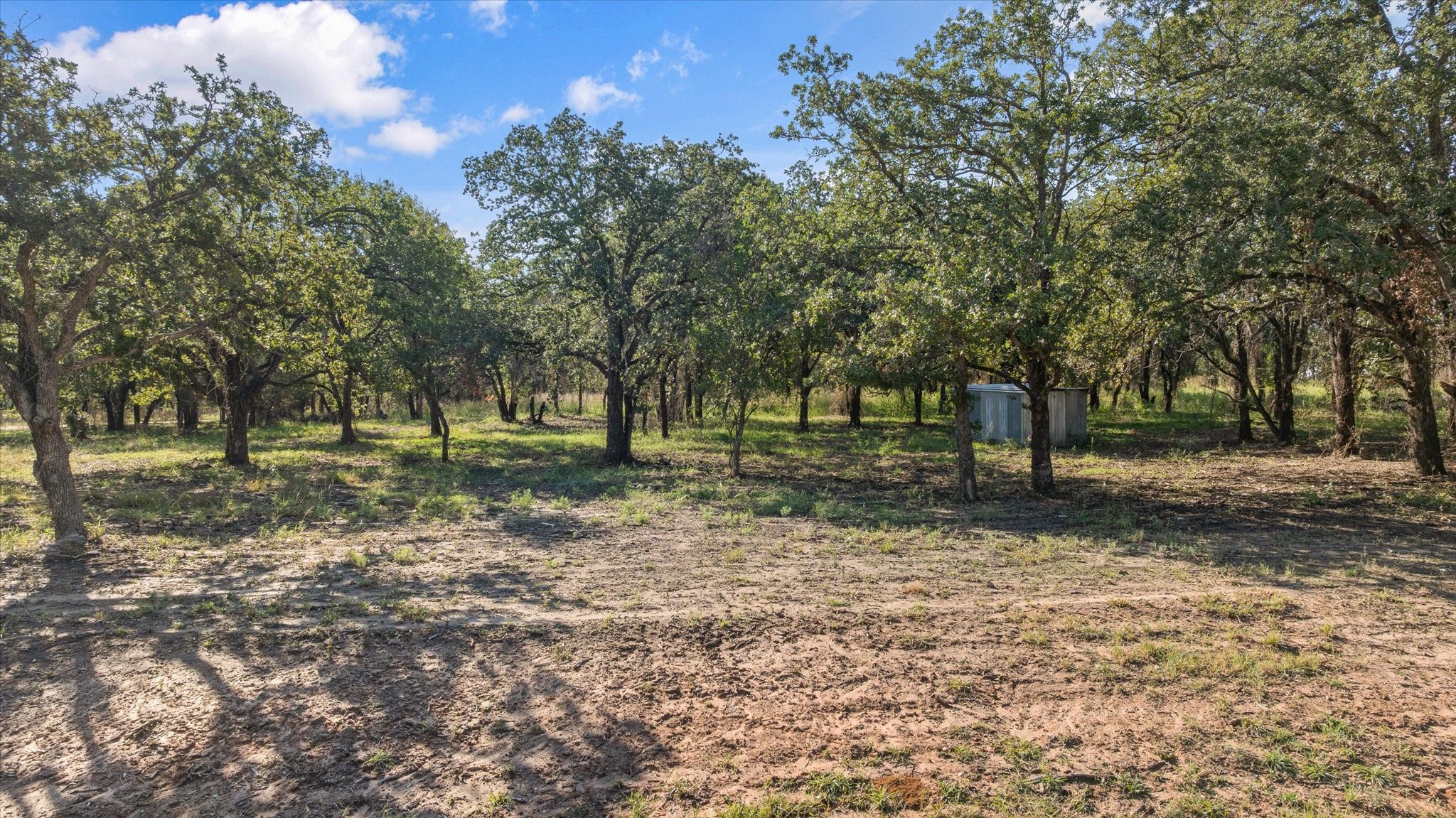 Lot #11 Trinity Ridge Drive Stephenville TX 76401