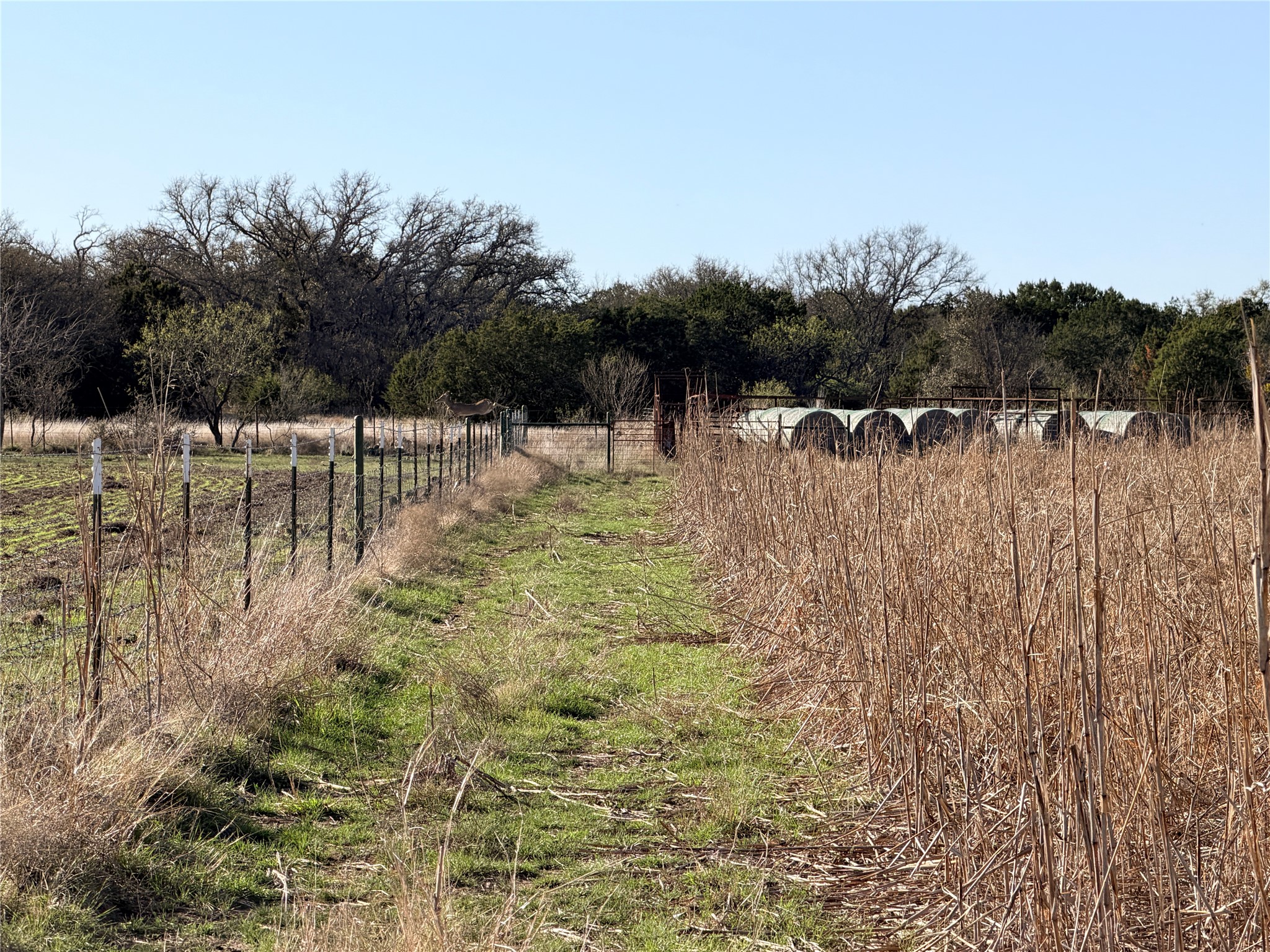 360 State Highway 16 S Goldthwaite TX 76844