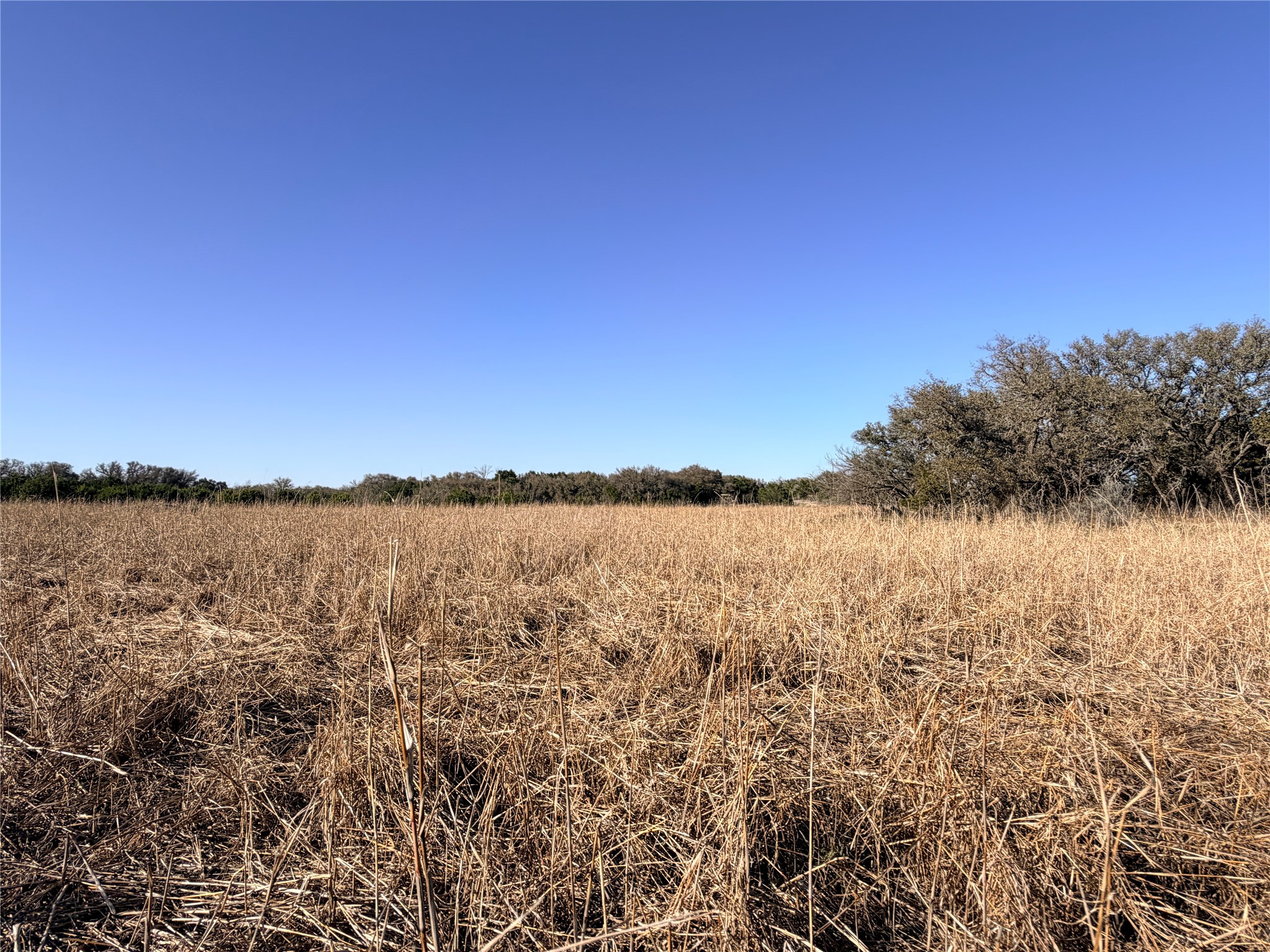 360 State Highway 16 S Goldthwaite TX 76844