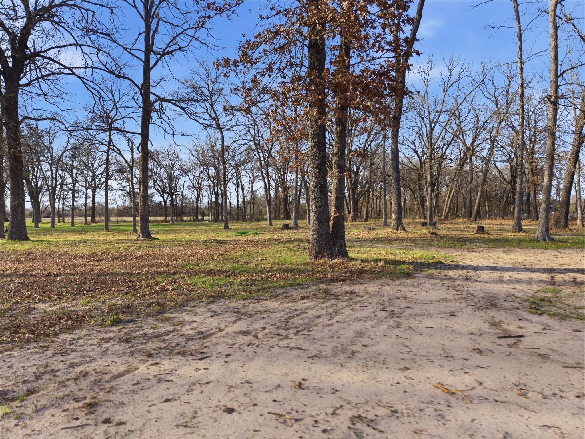 0000 Fm 1563 Wolfe City TX 75496