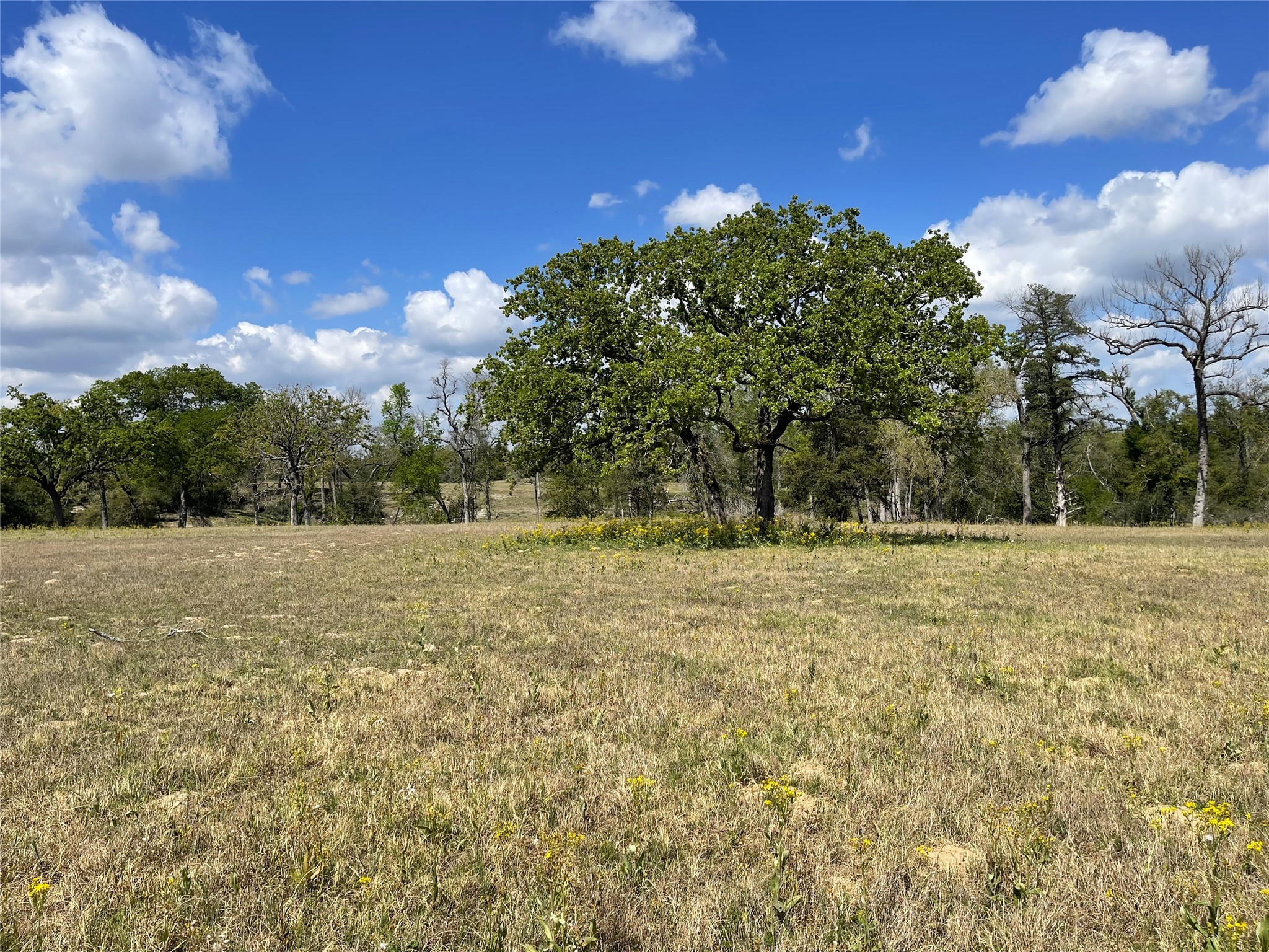 Lot 40 Pr 4174 Marquez TX 77865