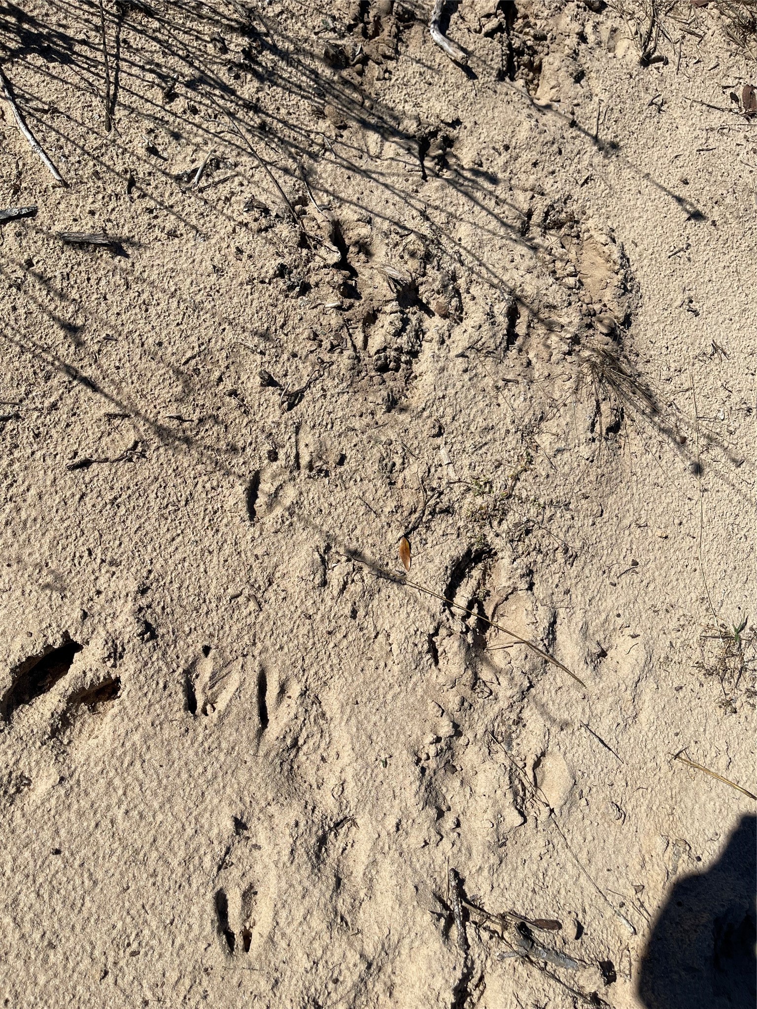 Lot 40 Pr 4174 Marquez TX 77865