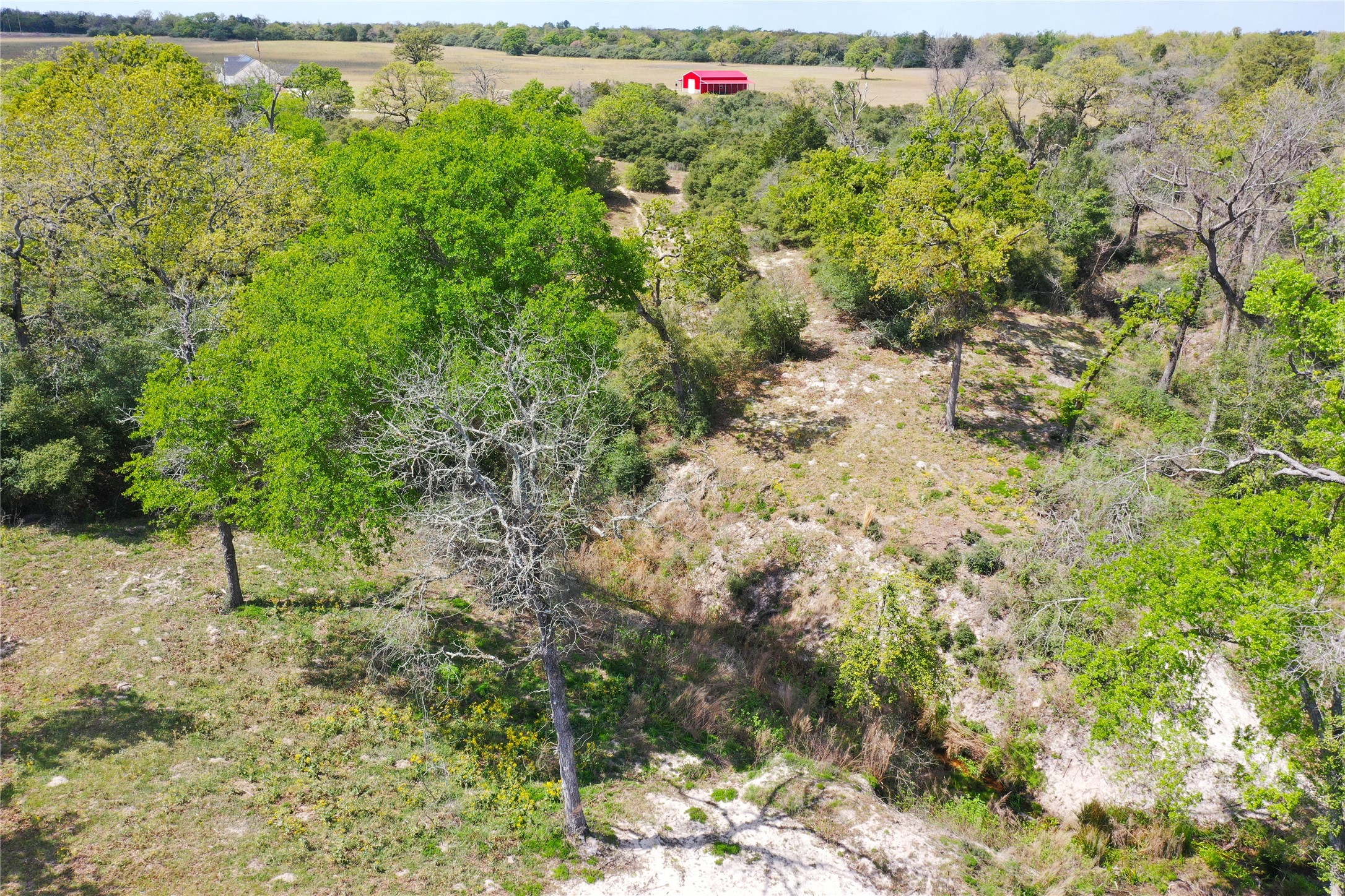 Lot 40 Pr 4174 Marquez TX 77865