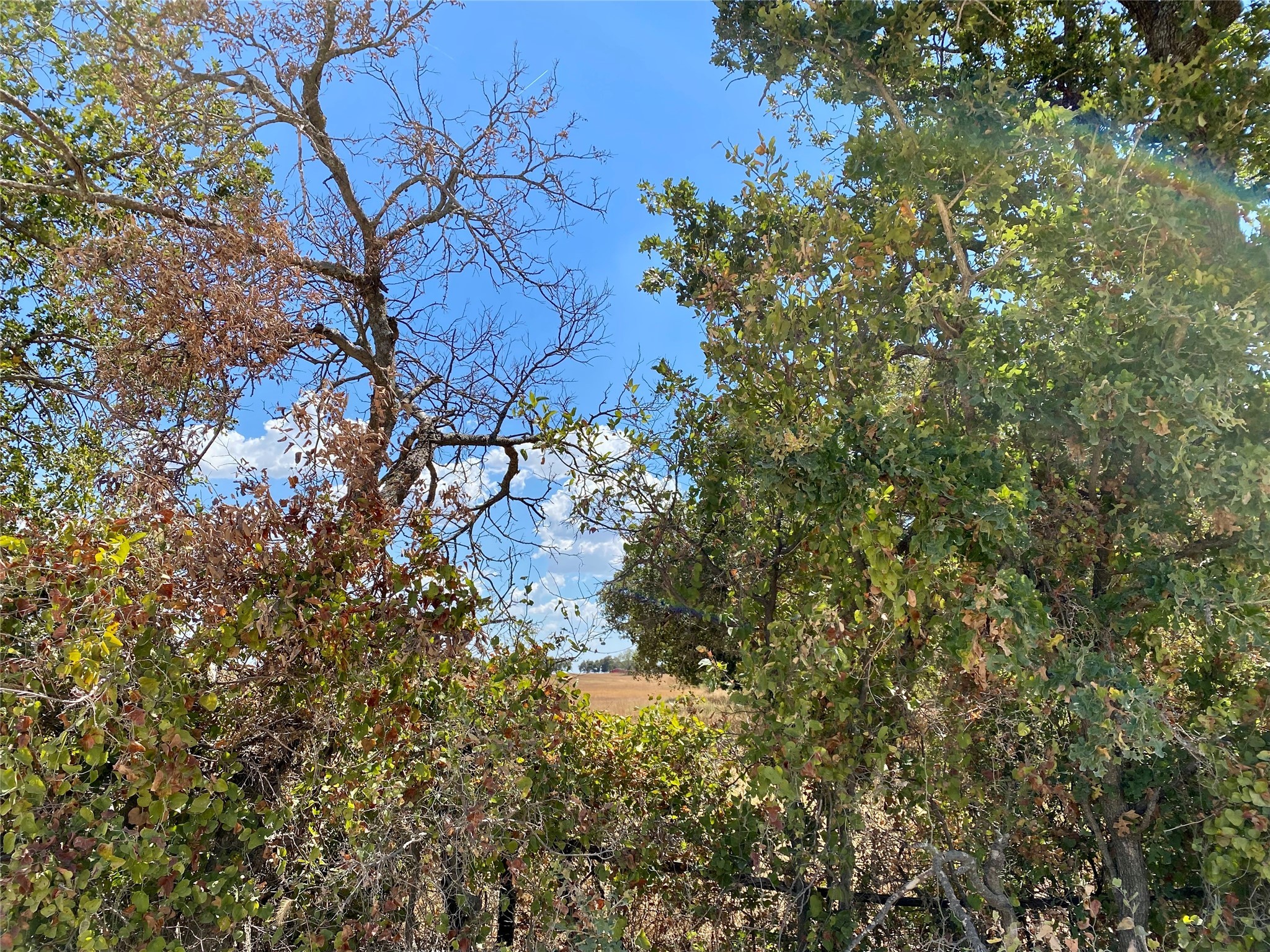 915 County Road 226 Rising Star TX 76471