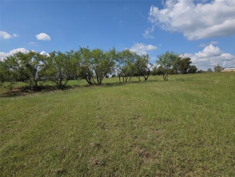 Lot 15 Open Water Way Streetman TX 75859