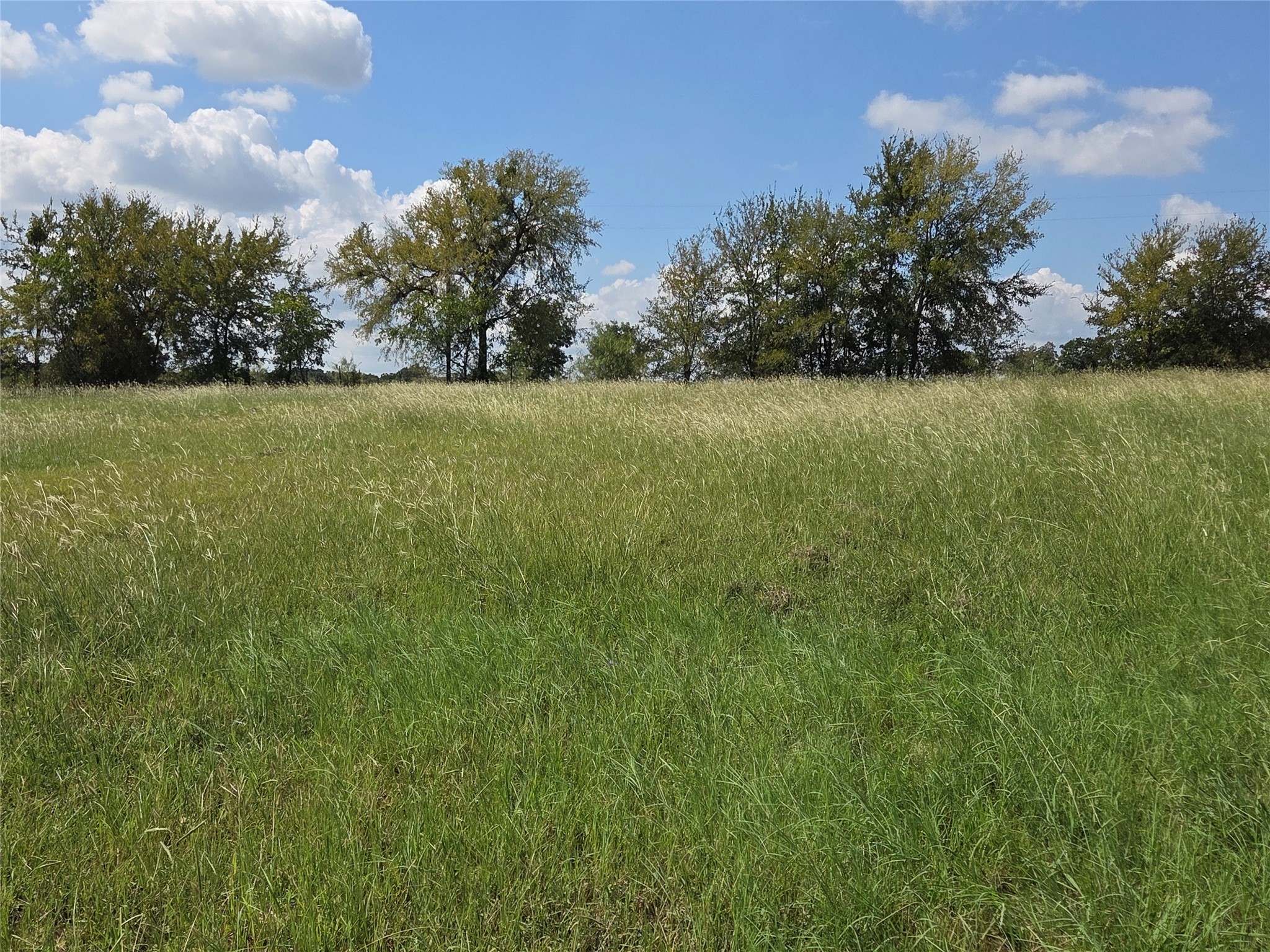 Lot 15 Open Water Way Streetman TX 75859