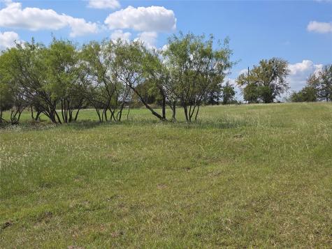Lot 15 Open Water Way Streetman TX 75859