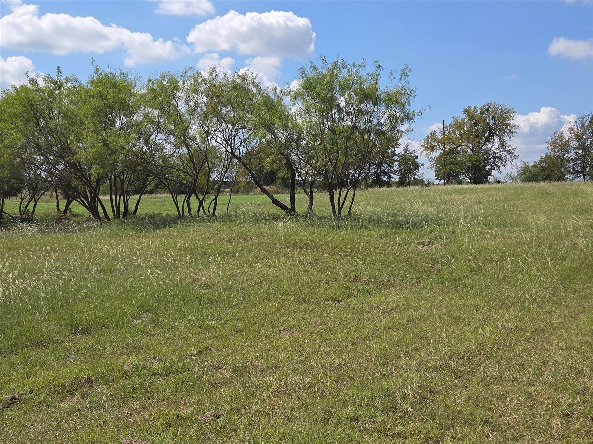 Lot 15 Open Water Way Streetman TX 75859