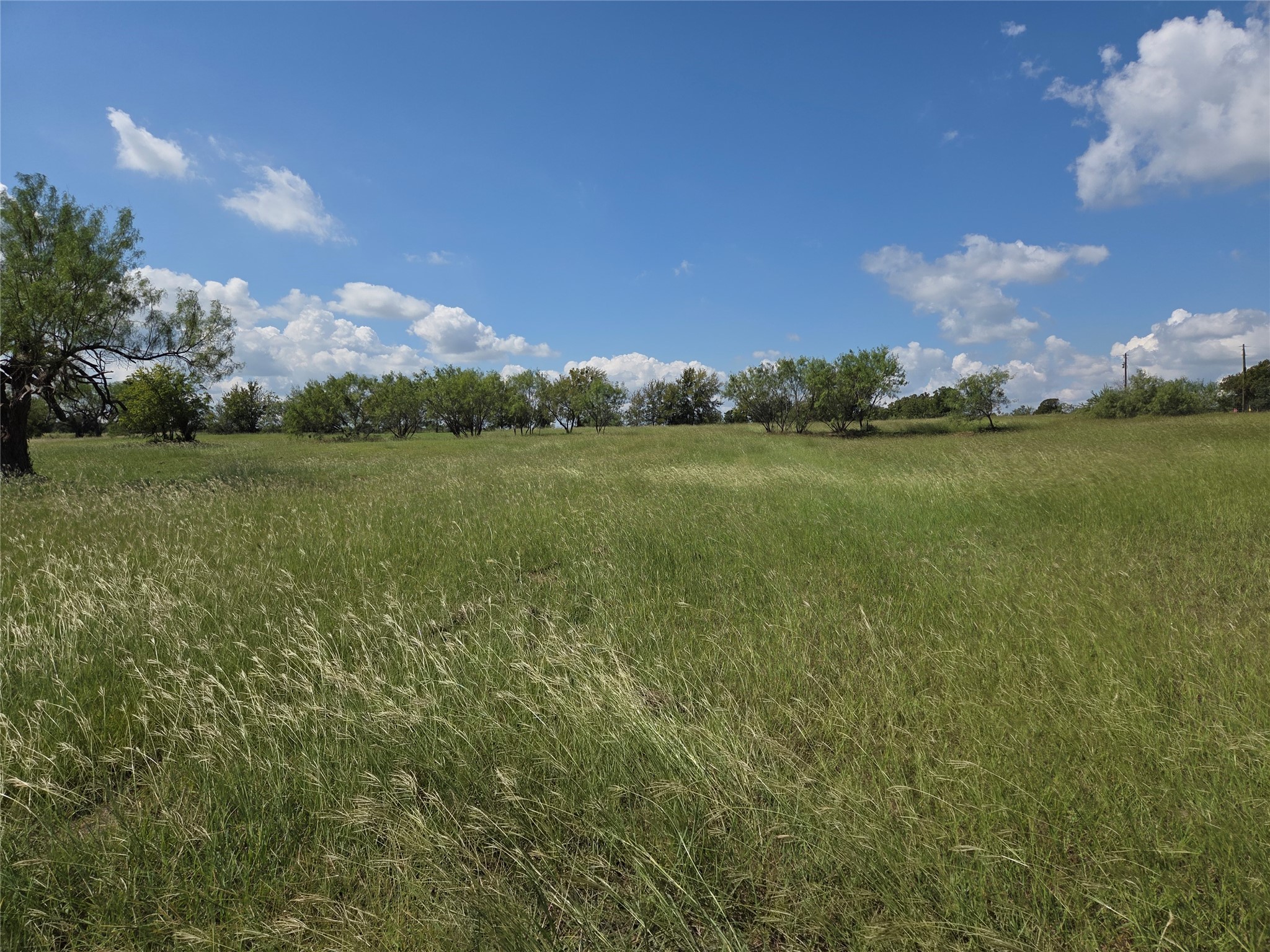 Lot 15 Open Water Way Streetman TX 75859