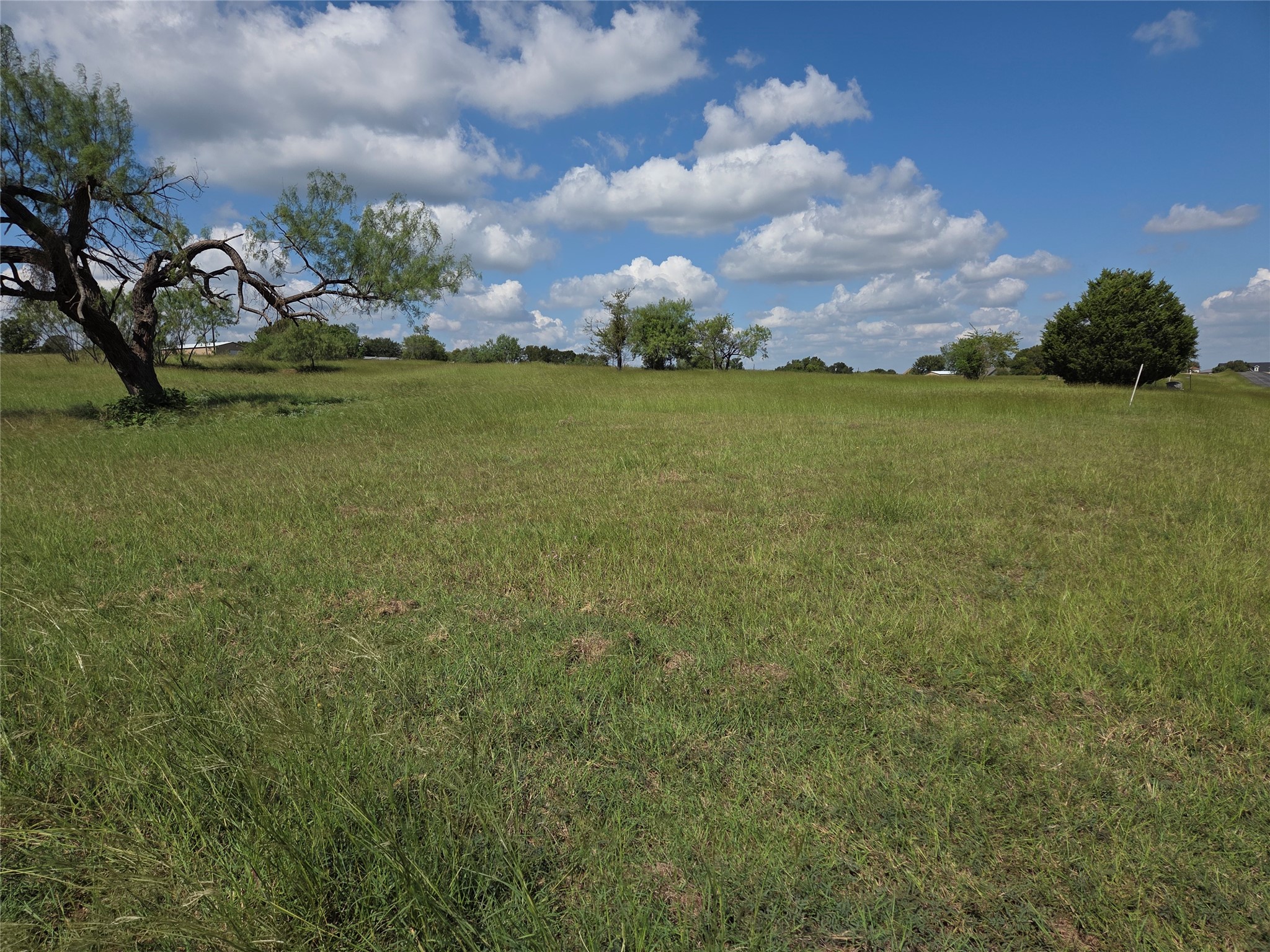 Lot 15 Open Water Way Streetman TX 75859