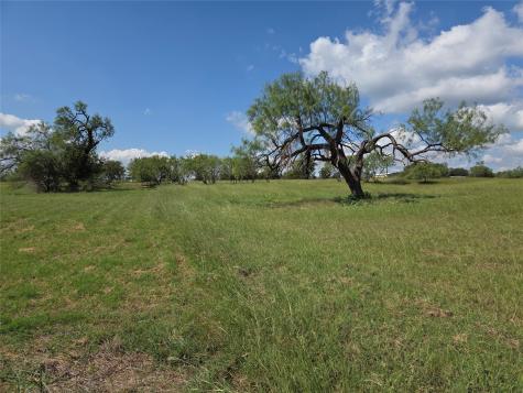 Lot 15 Open Water Way Streetman TX 75859
