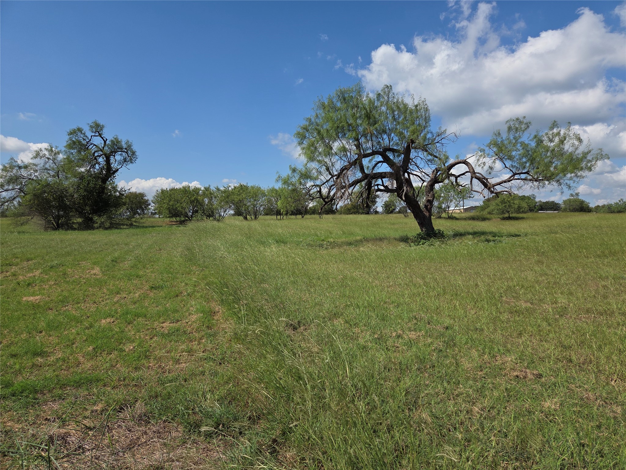 Lot 15 Open Water Way Streetman TX 75859