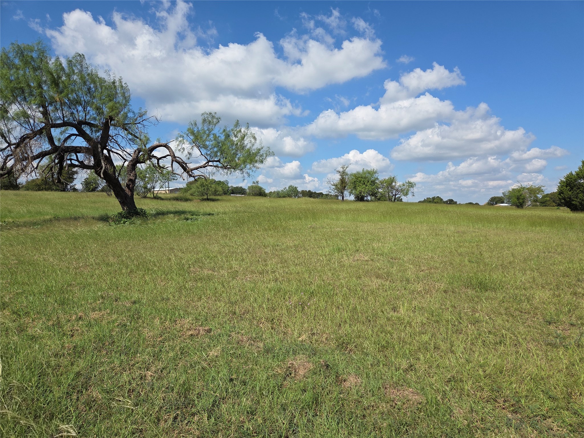 Lot 15 Open Water Way Streetman TX 75859