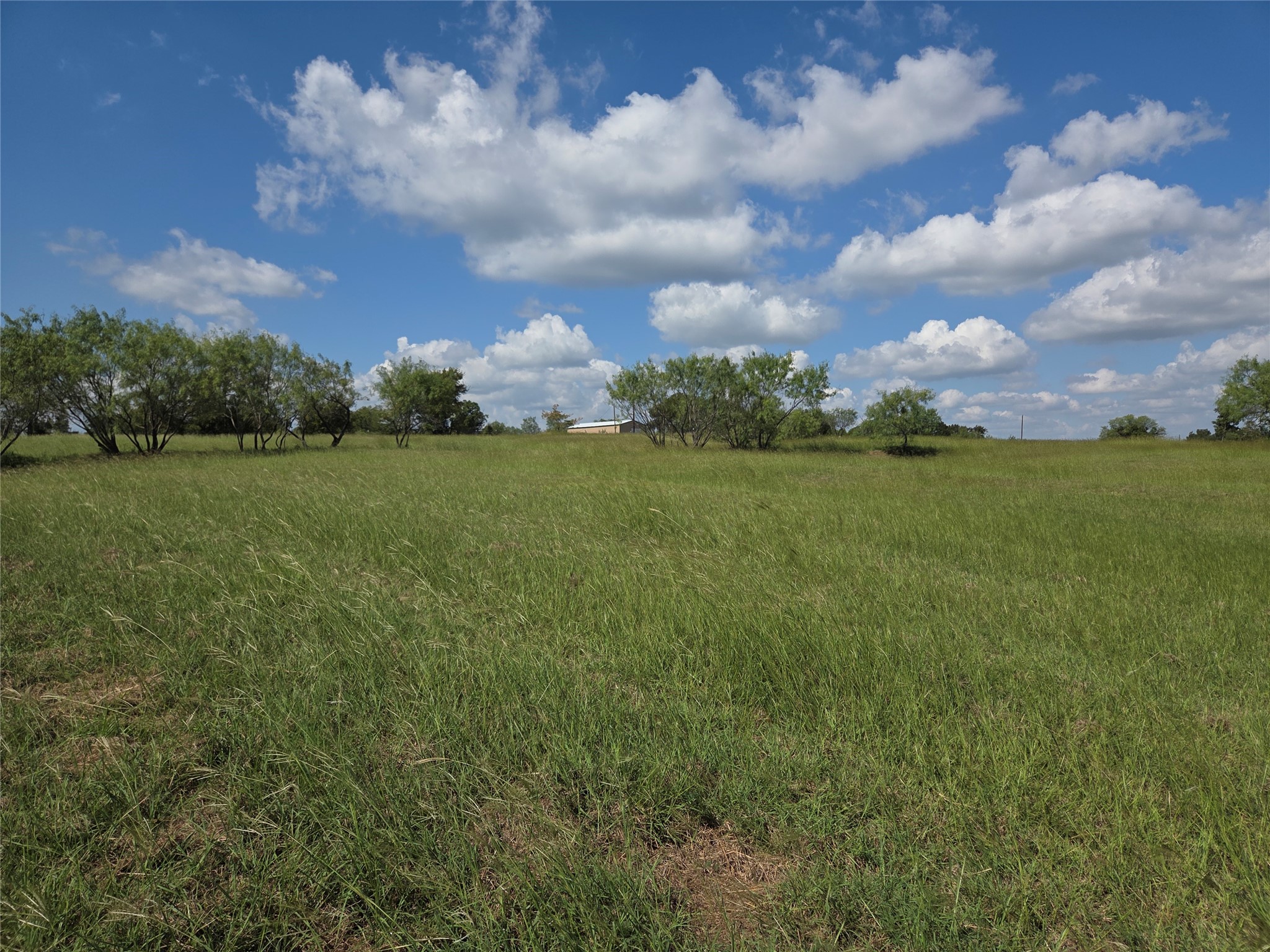 Lot 15 Open Water Way Streetman TX 75859