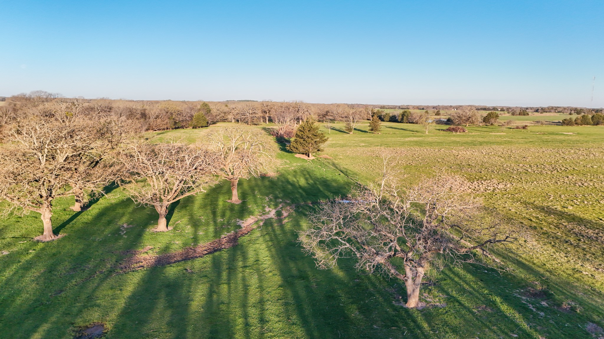 000 Cr 2245 Ivanhoe TX 75447