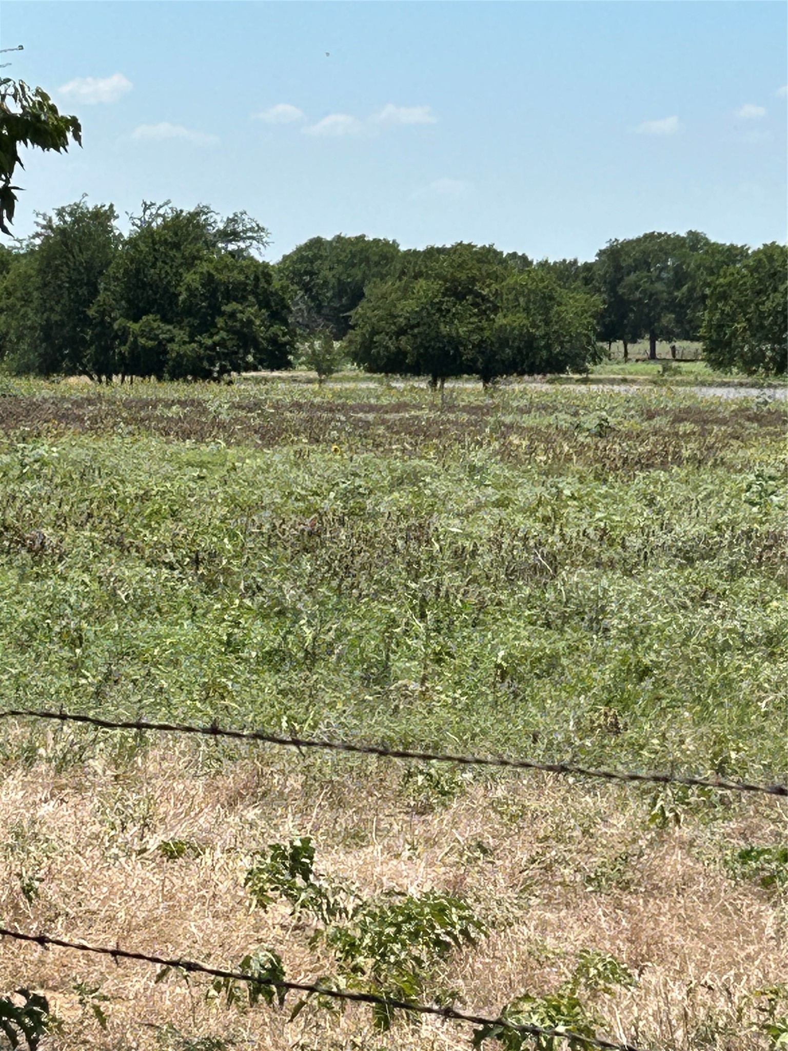 1170 Airport Road Tioga TX 76271