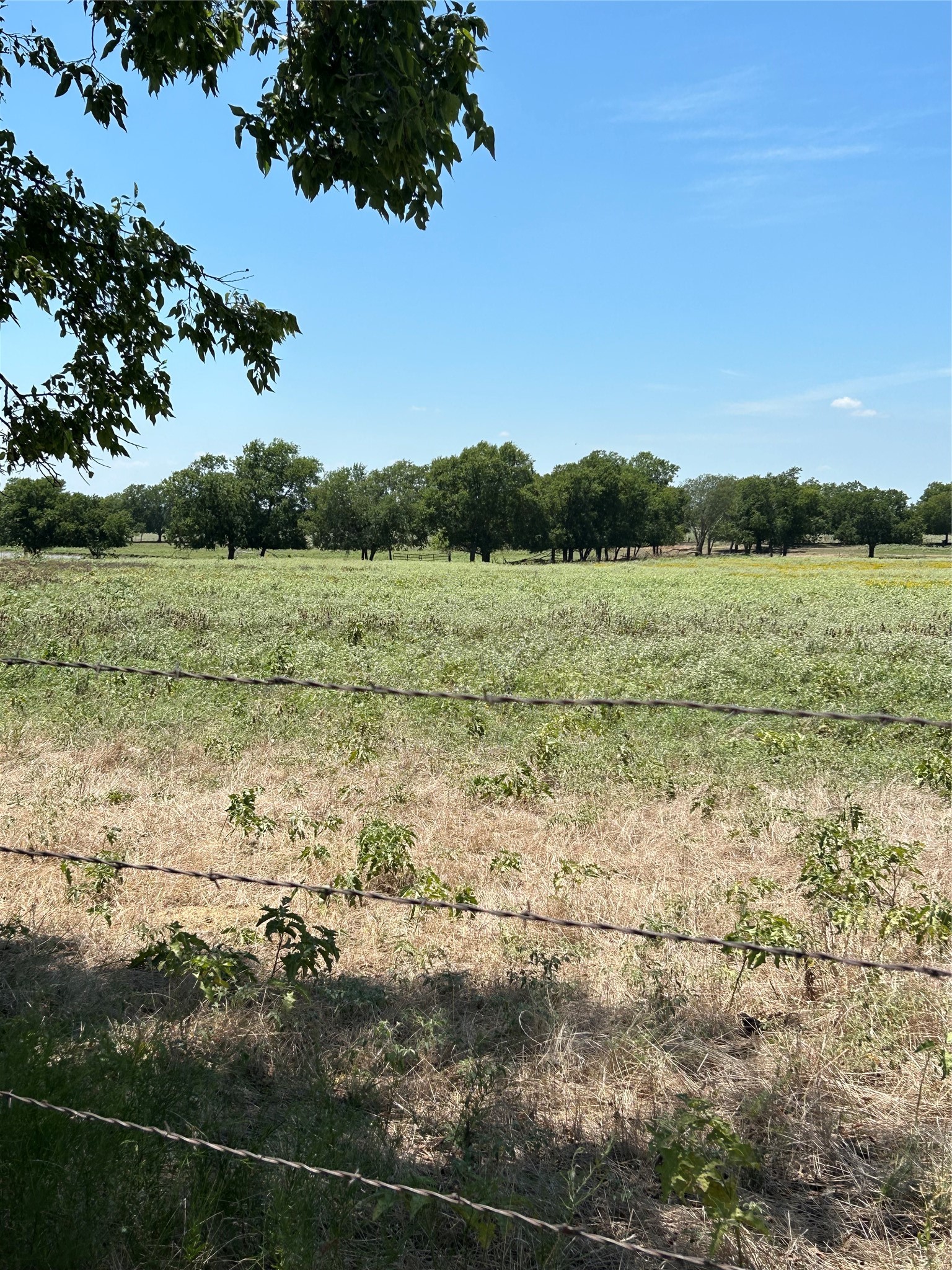 1170 Airport Road Tioga TX 76271