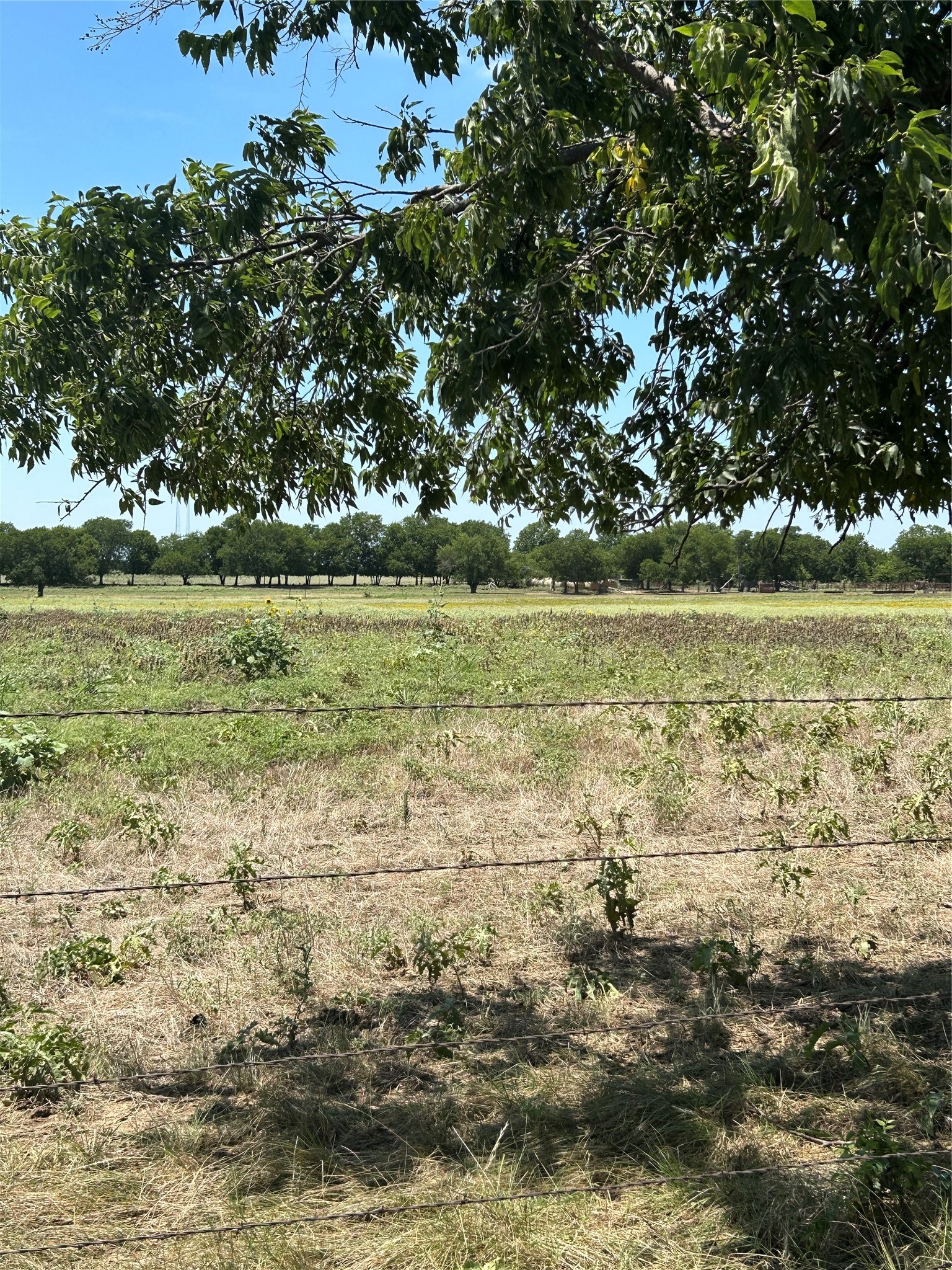 1170 Airport Road Tioga TX 76271