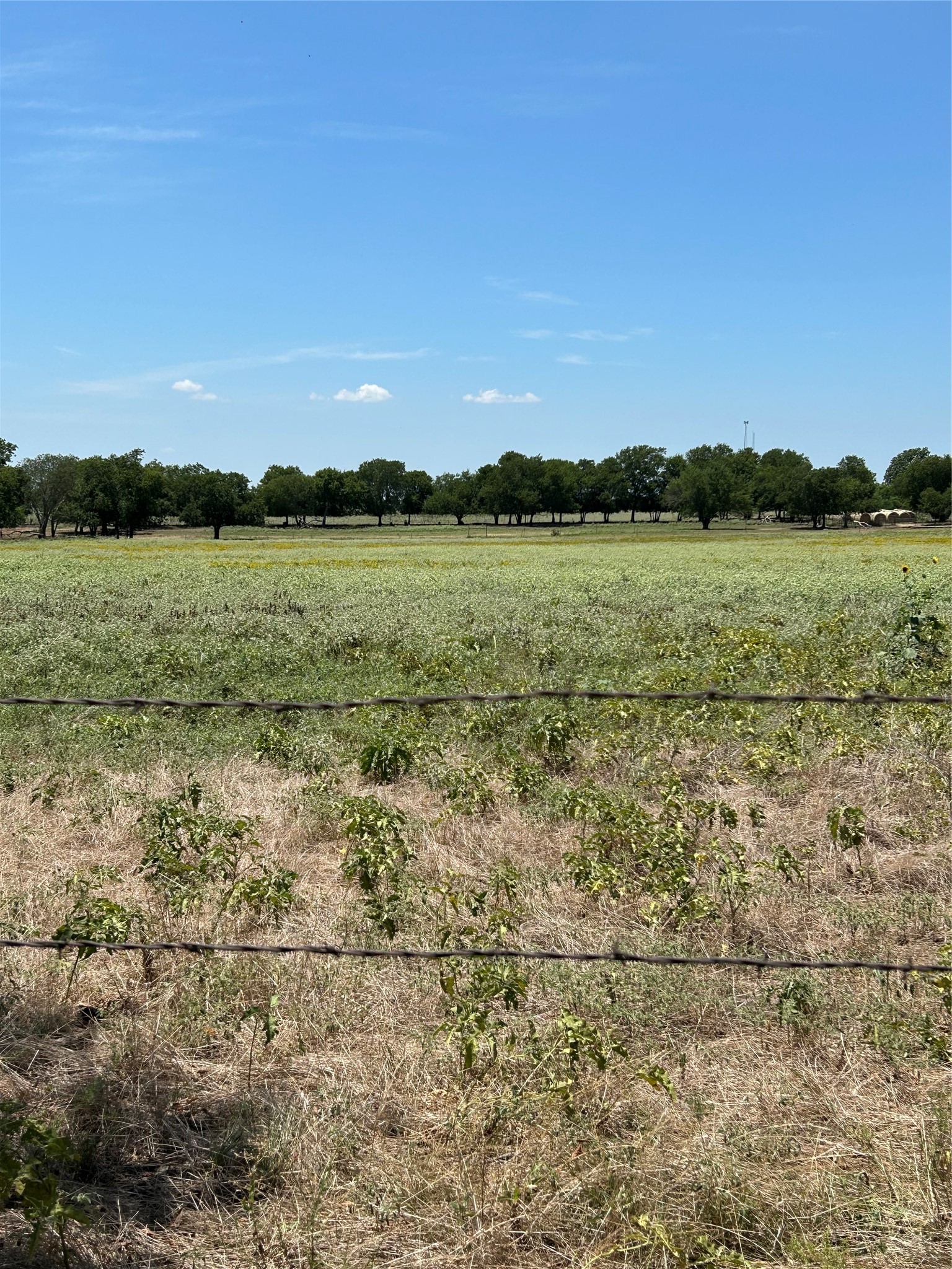 1170 Airport Road Tioga TX 76271