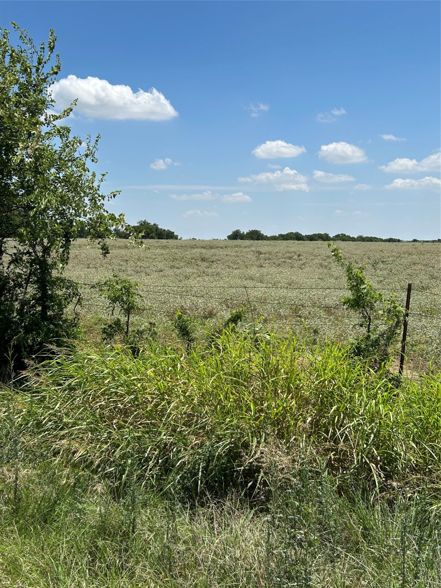 1170 Airport Road Tioga TX 76271
