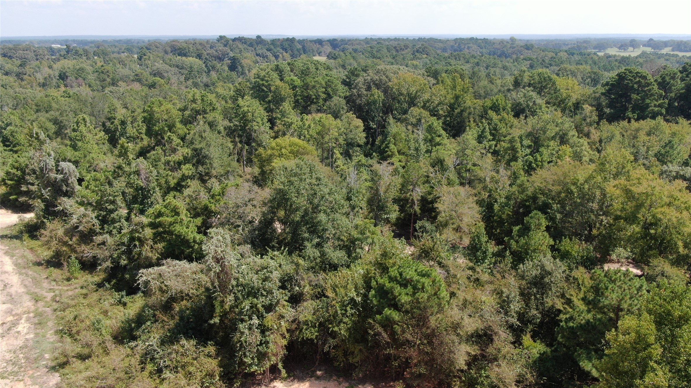 0 County Road 305 Frankston TX 75763