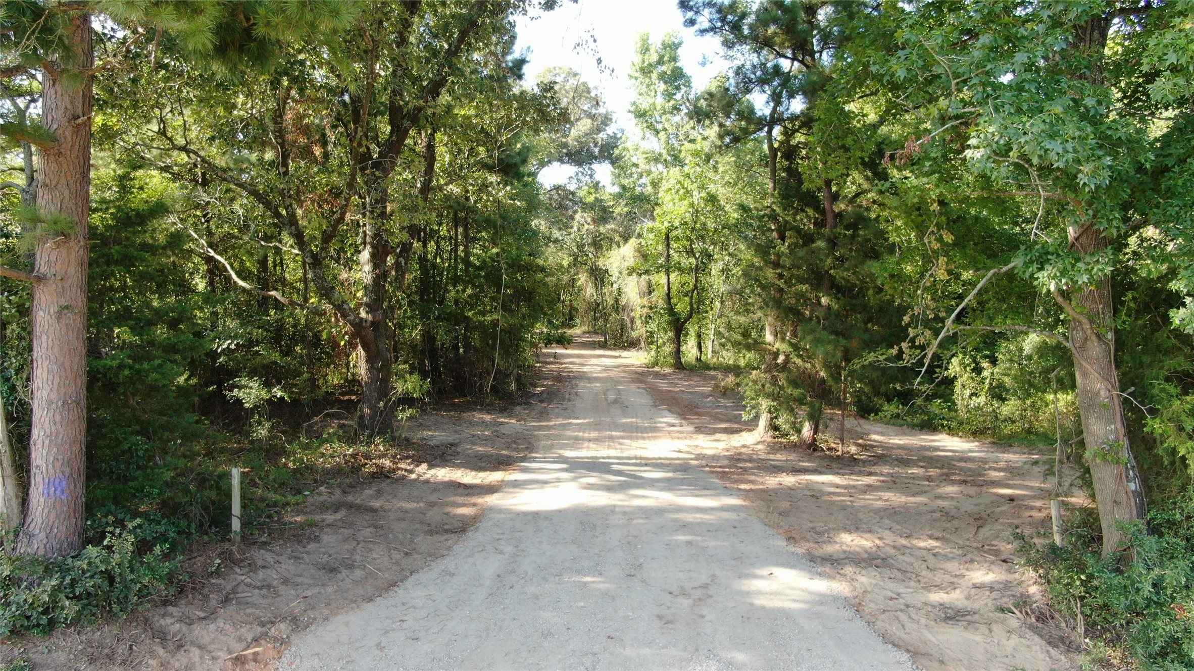 0 County Road 305 Frankston TX 75763