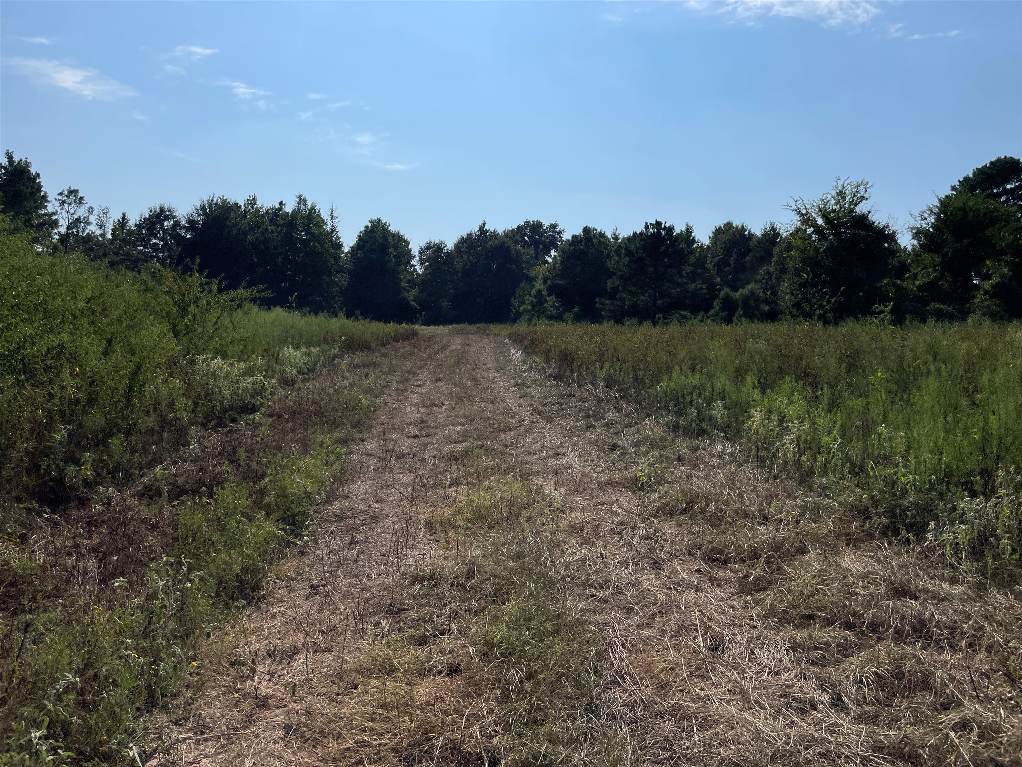 0 County Road 305 Frankston TX 75763