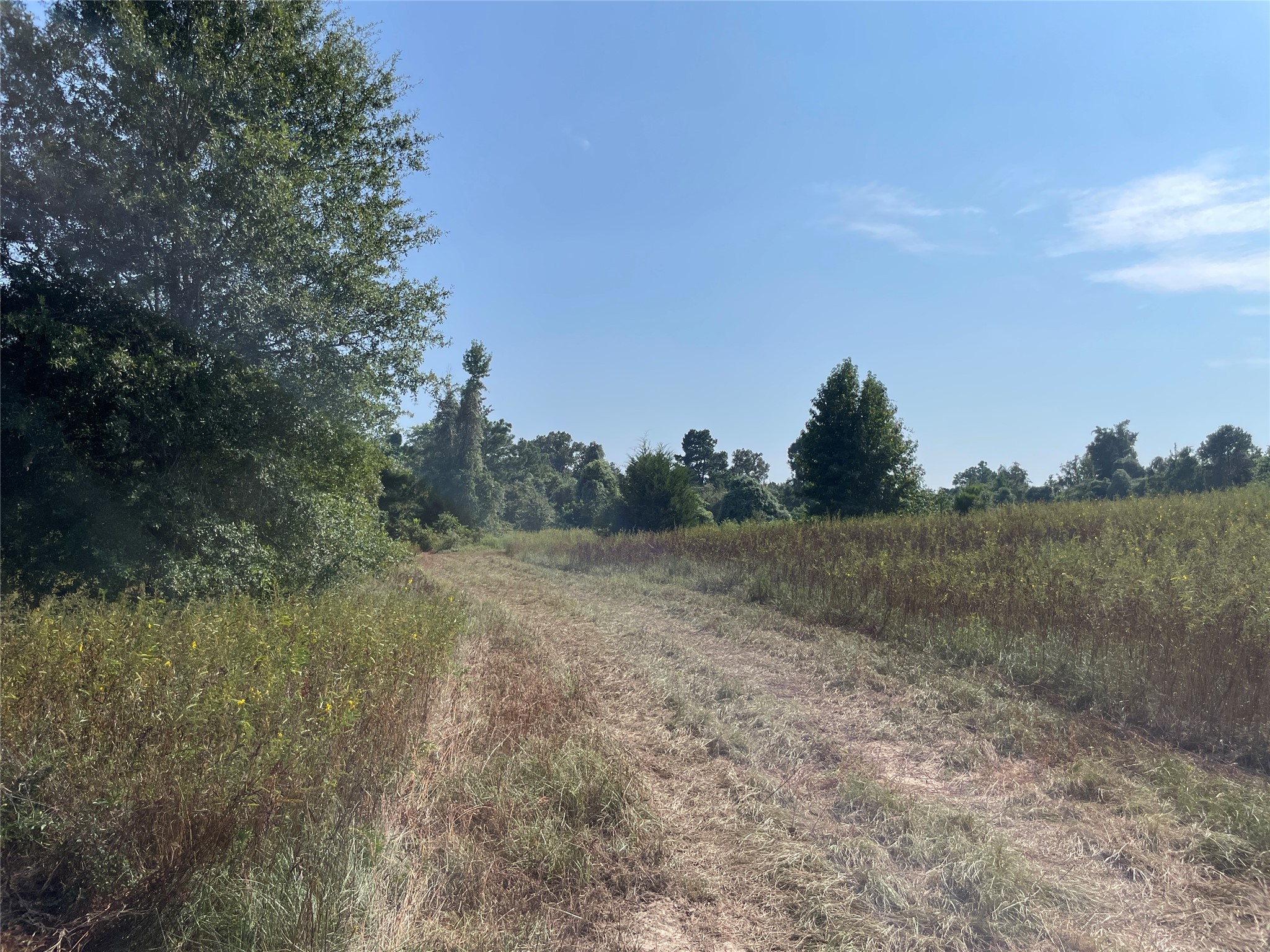0 County Road 305 Frankston TX 75763