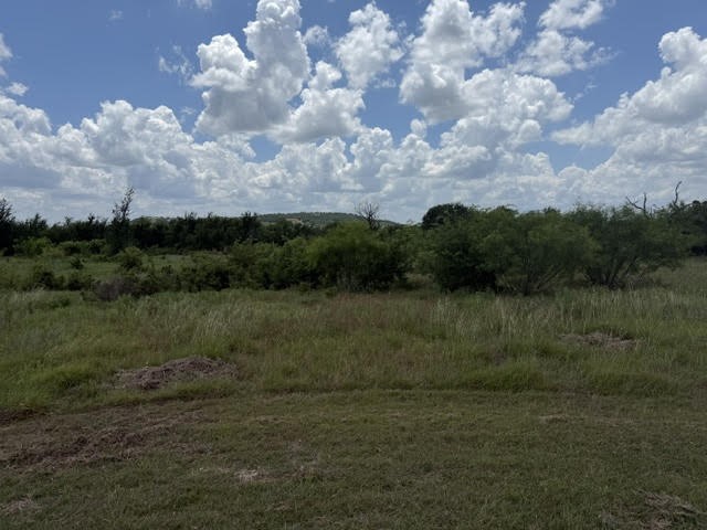 1393 Indigo Bush Court Possum Kingdom Lake TX 76449