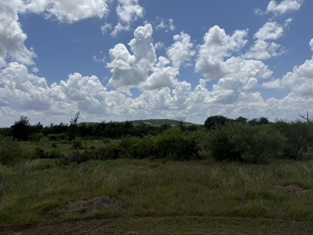 1393 Indigo Bush Court Possum Kingdom Lake TX 76449