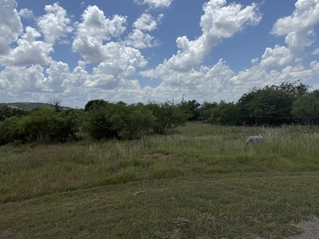 1393 Indigo Bush Court Possum Kingdom Lake TX 76449