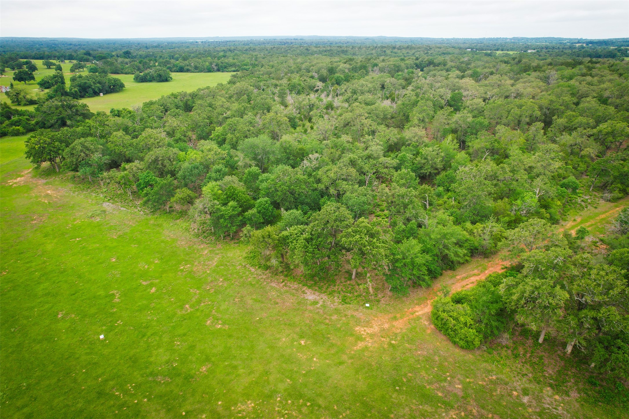 06 Ranches At Meadow Park Milano TX 76556