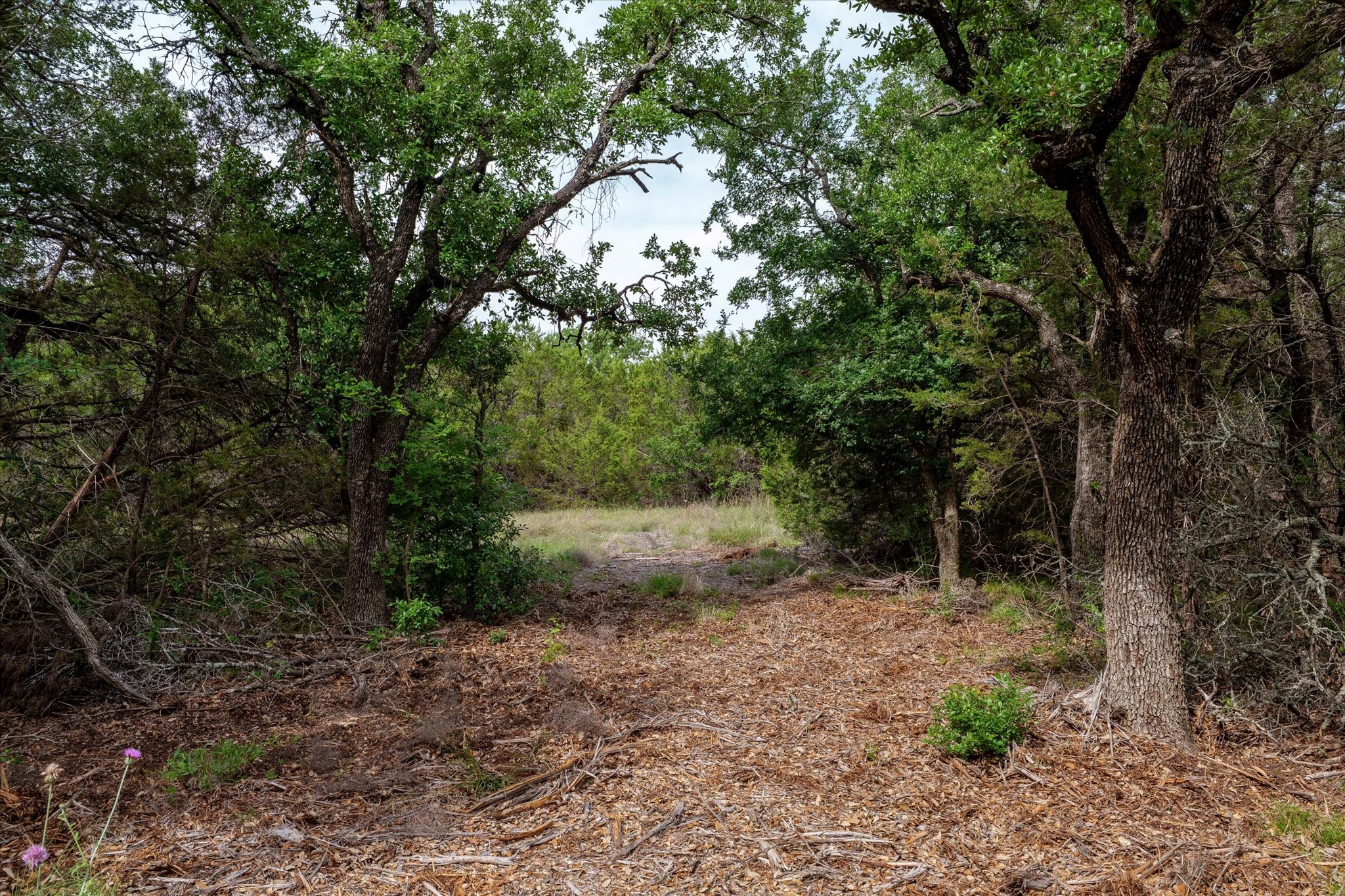 Tbd Mustang-a Road Purmela TX 76566