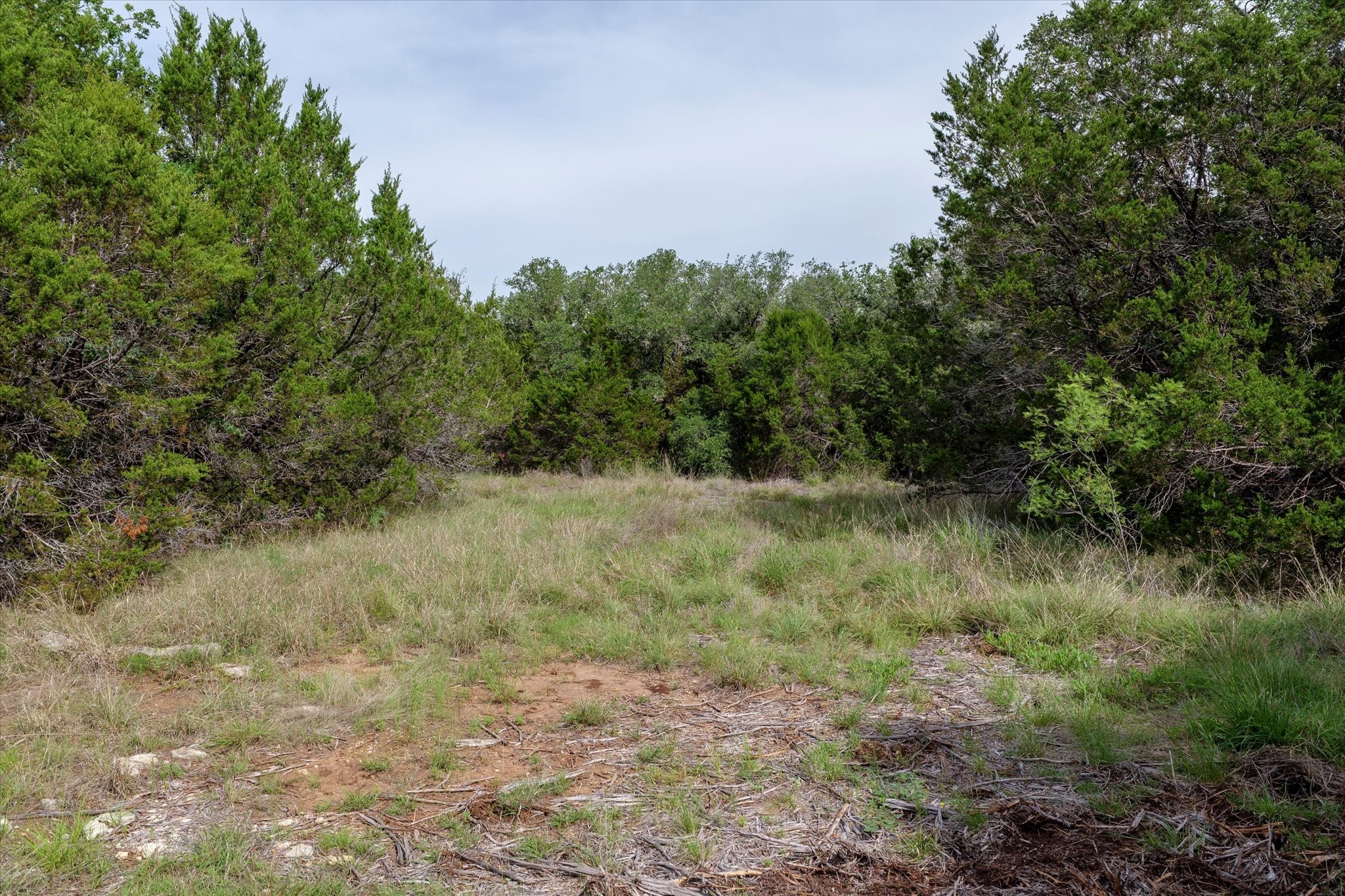 Tbd Mustang-a Road Purmela TX 76566
