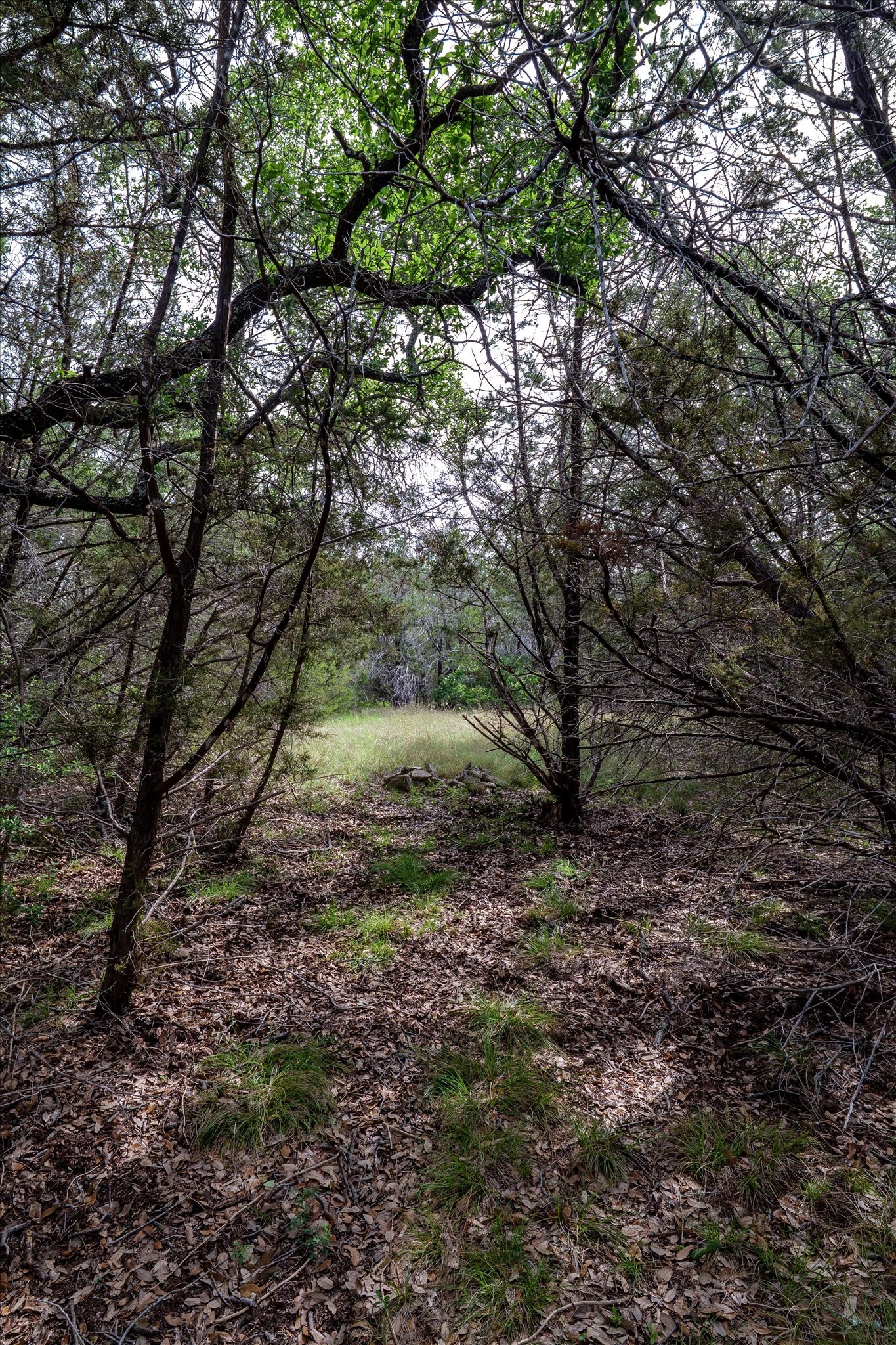 Tbd Mustang-a Road Purmela TX 76566