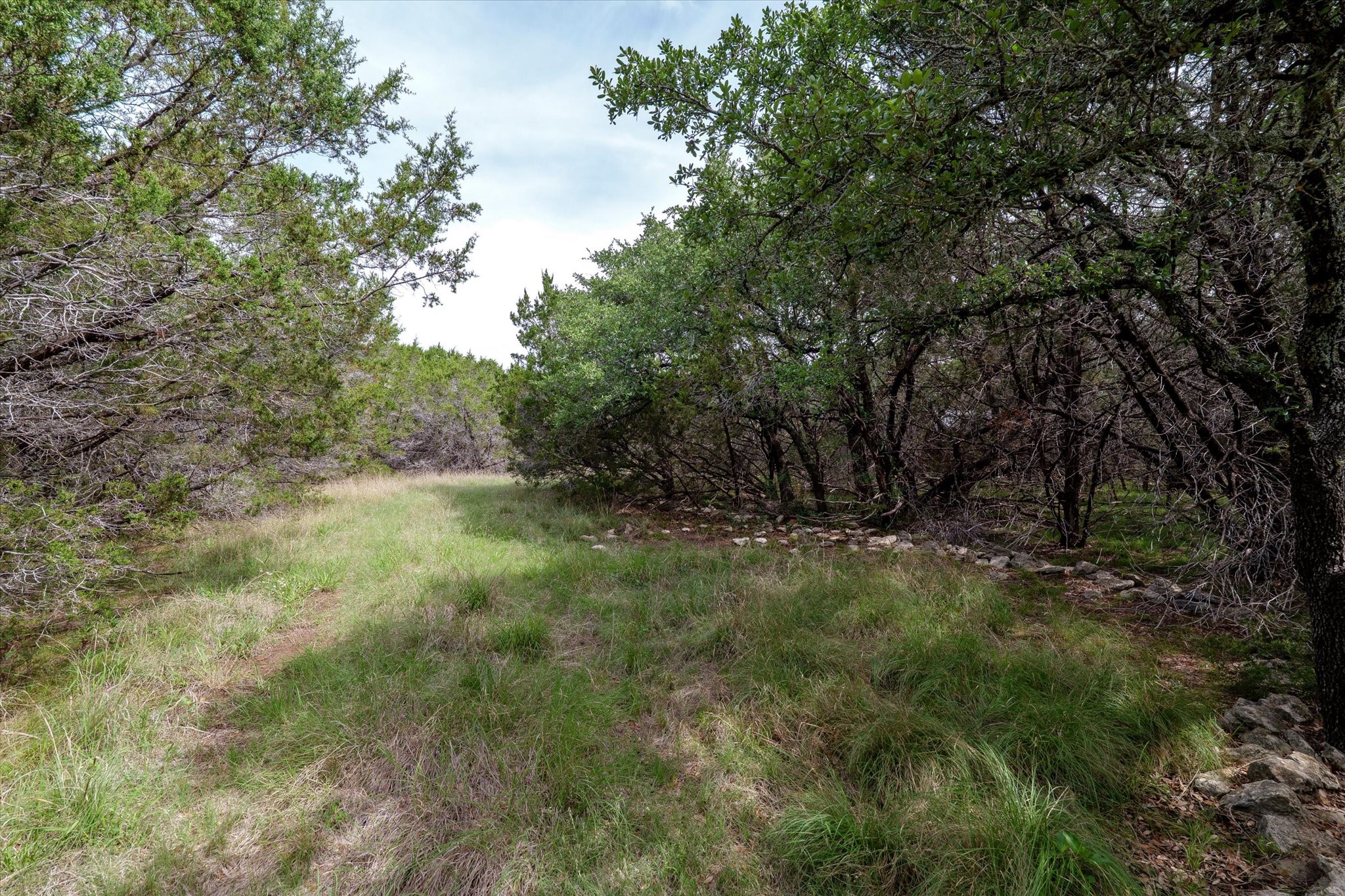 Tbd Mustang-a Road Purmela TX 76566