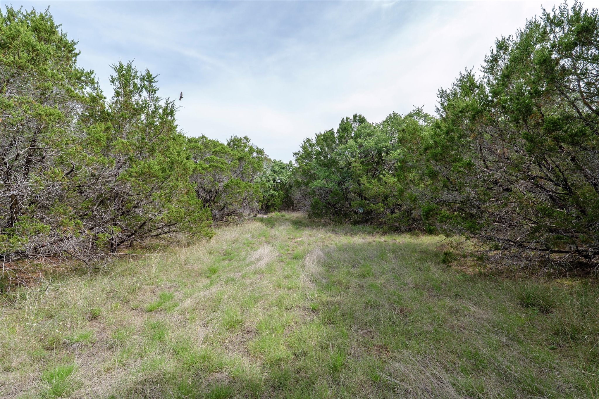 Tbd Mustang-a Road Purmela TX 76566