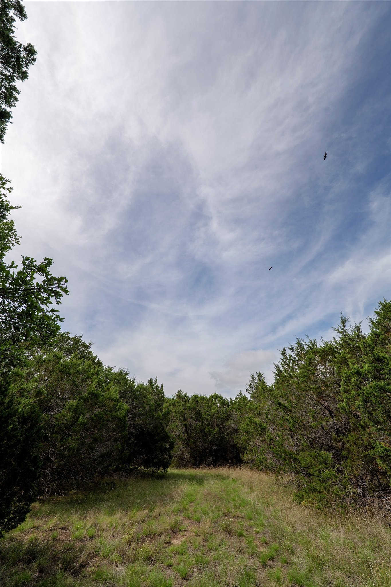 Tbd Mustang-a Road Purmela TX 76566