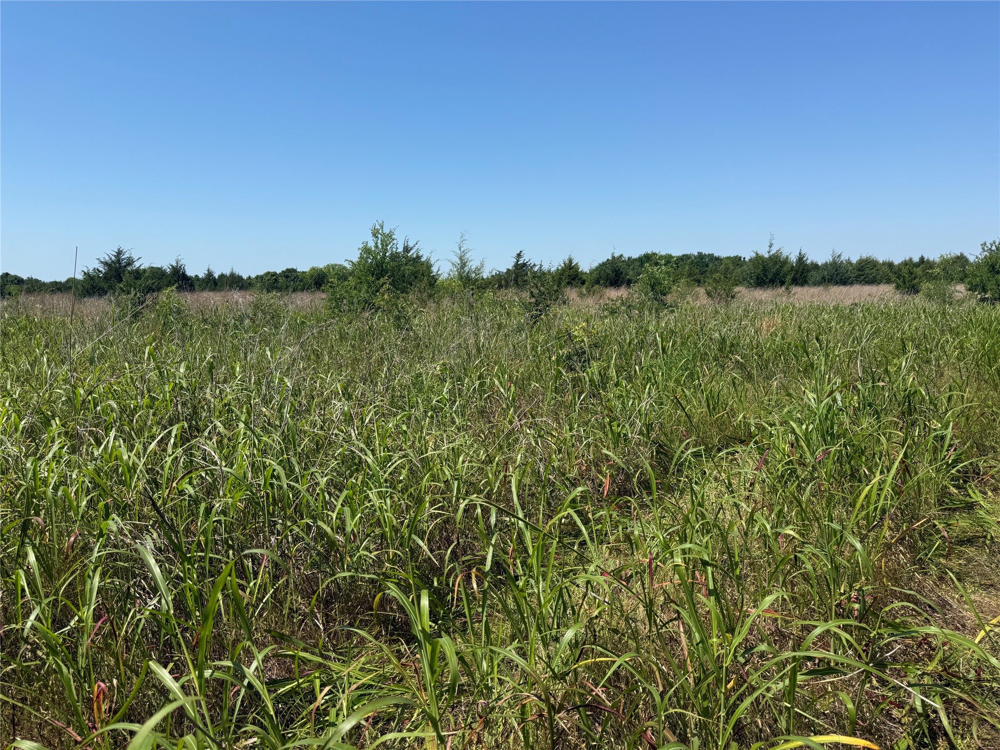0000 Cr 3107 Bonham TX 75418