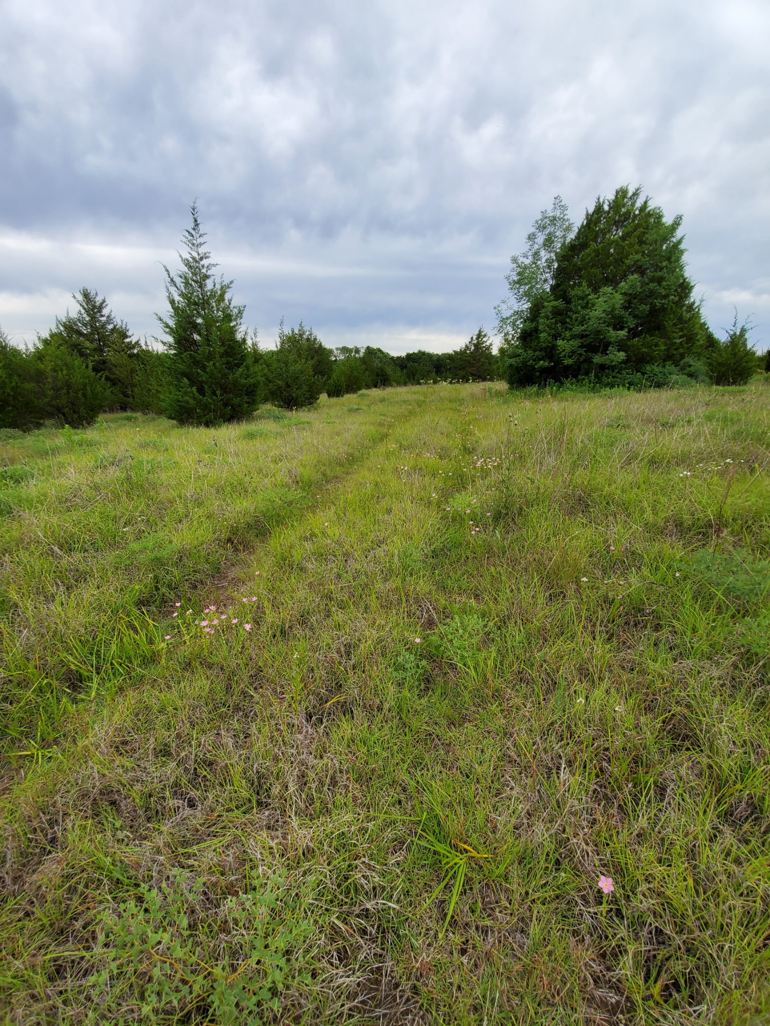 0000 Cr 3107 Bonham TX 75418