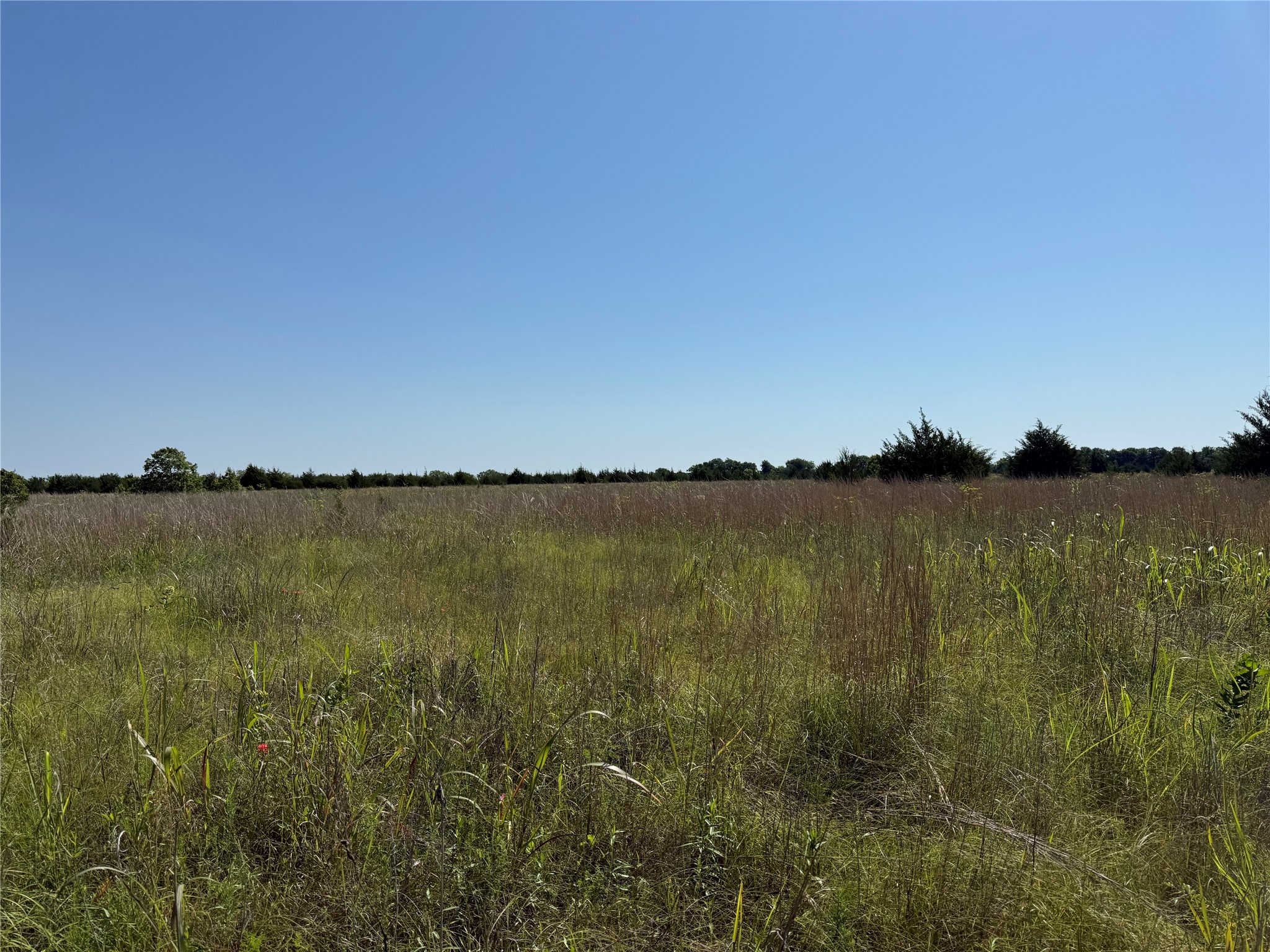 0000 Cr 3107 Bonham TX 75418