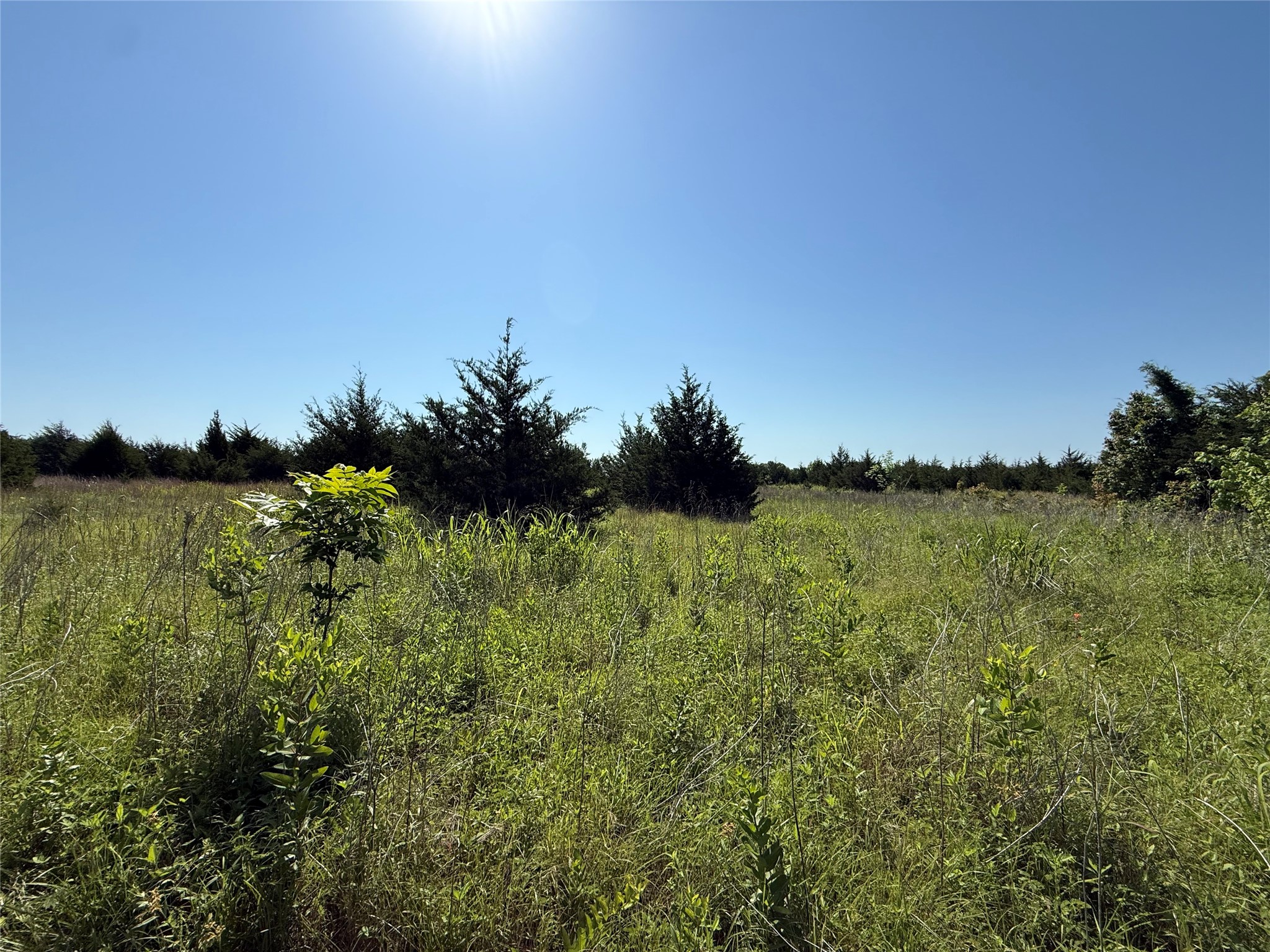 0000 Cr 3107 Bonham TX 75418