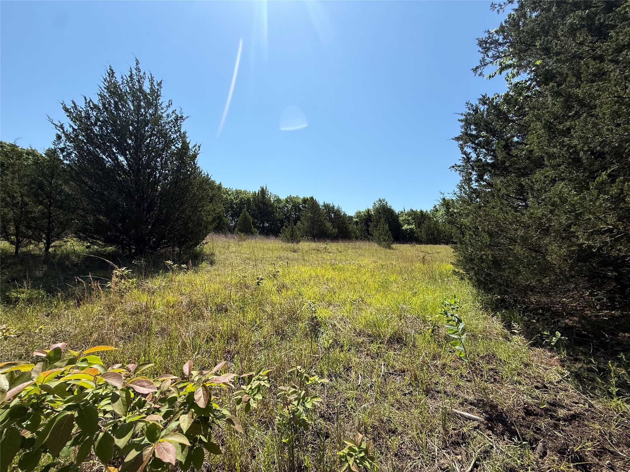 0000 Cr 3107 Bonham TX 75418