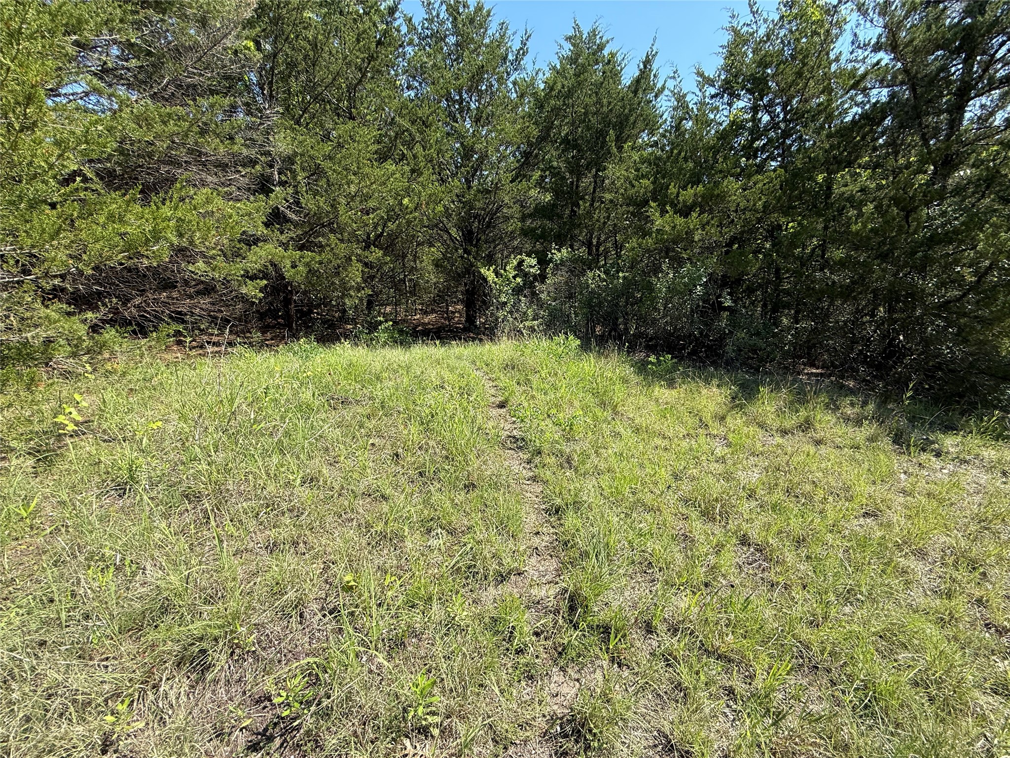 0000 Cr 3107 Bonham TX 75418