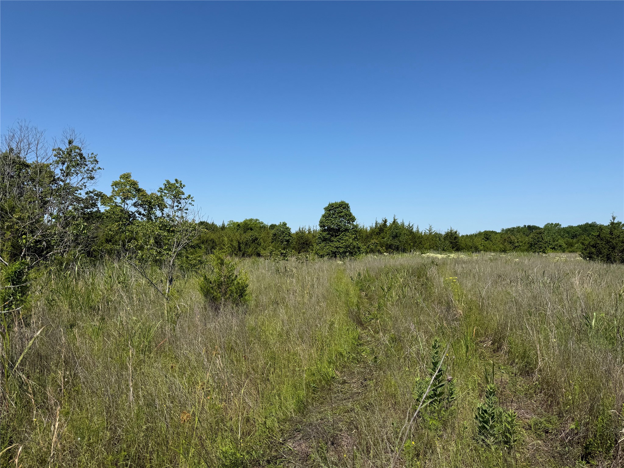 0000 Cr 3107 Bonham TX 75418
