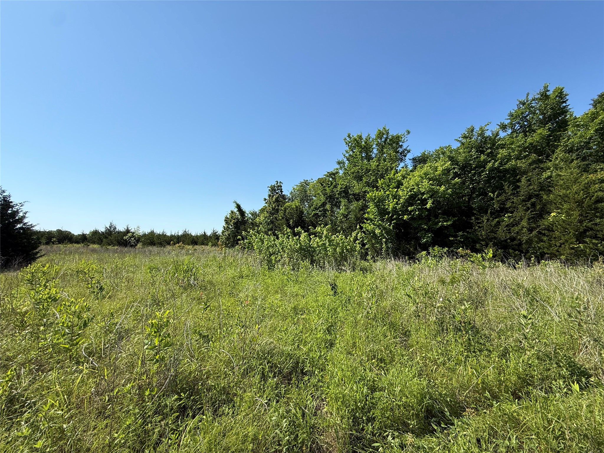 0000 Cr 3107 Bonham TX 75418