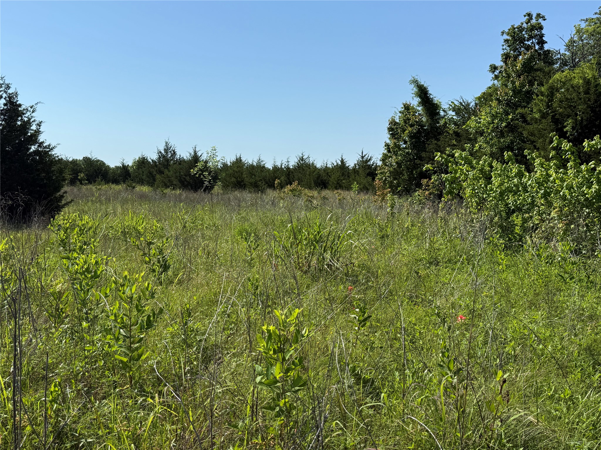 0000 Cr 3107 Bonham TX 75418