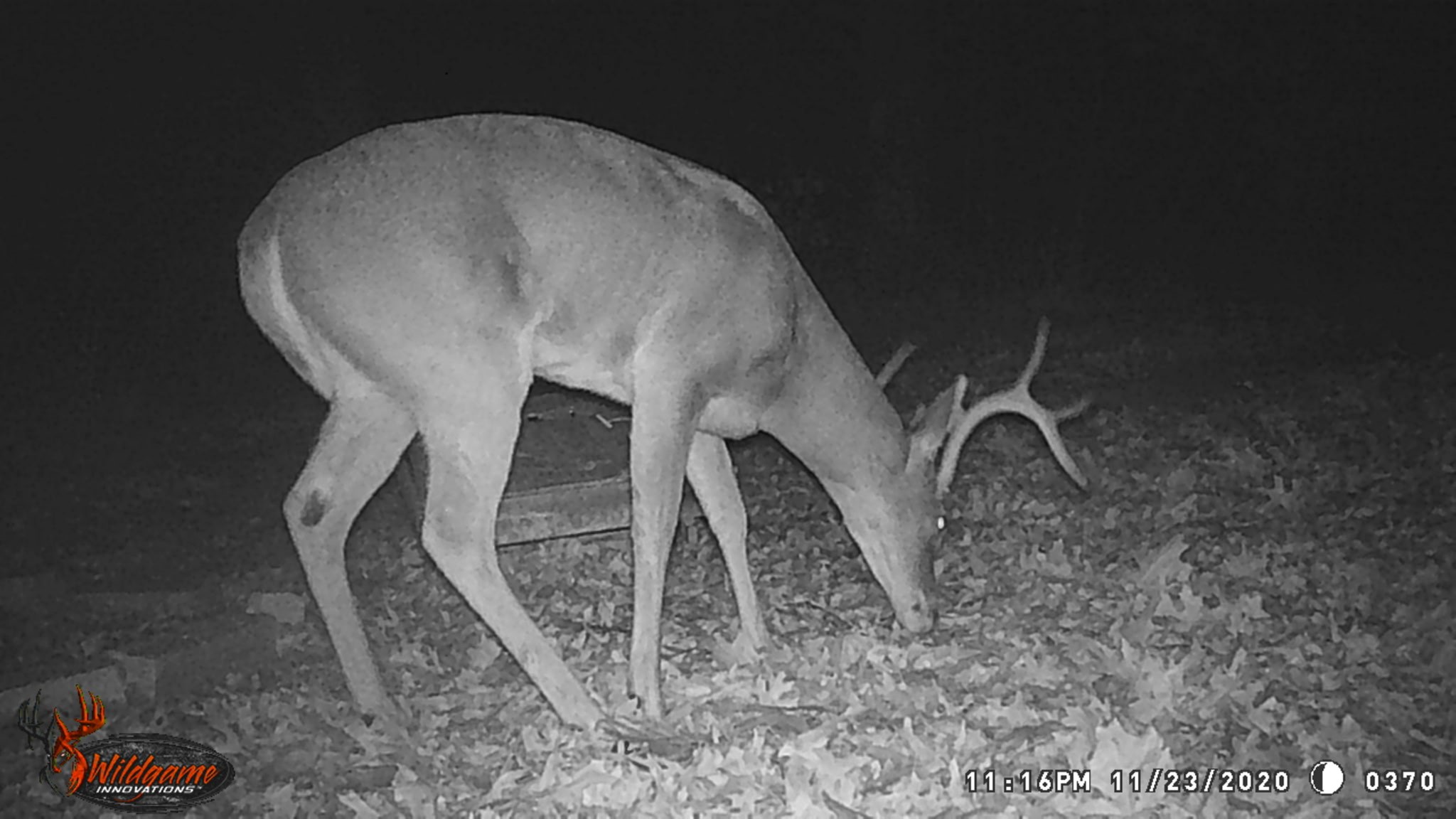 0000 Cr 3107 Bonham TX 75418